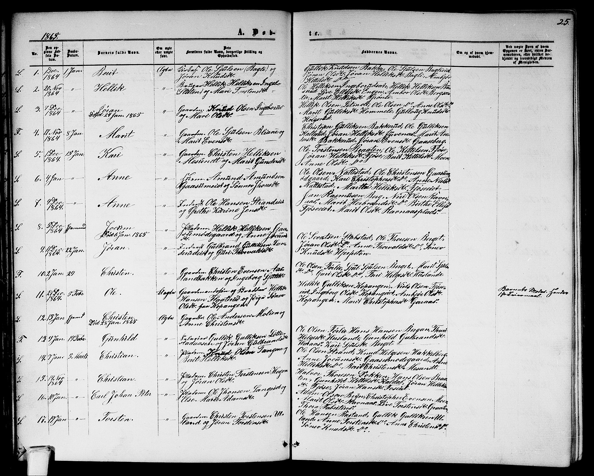 Flesberg kirkebøker, SAKO/A-18/G/Ga/L0003: Parish register (copy) no. I 3, 1861-1889, p. 25