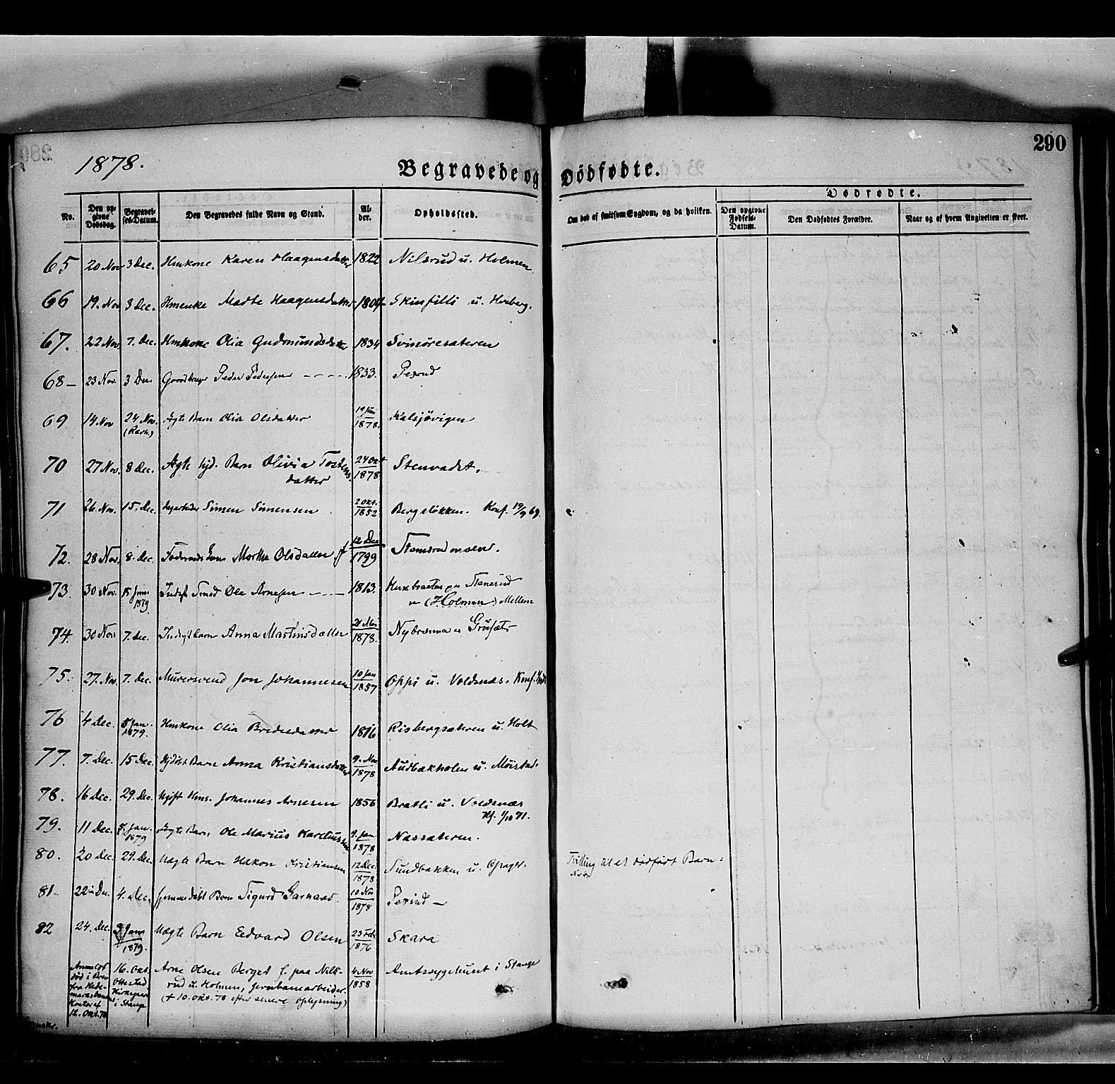 Grue prestekontor, AV/SAH-PREST-036/H/Ha/Haa/L0011: Parish register (official) no. 11, 1873-1880, p. 290