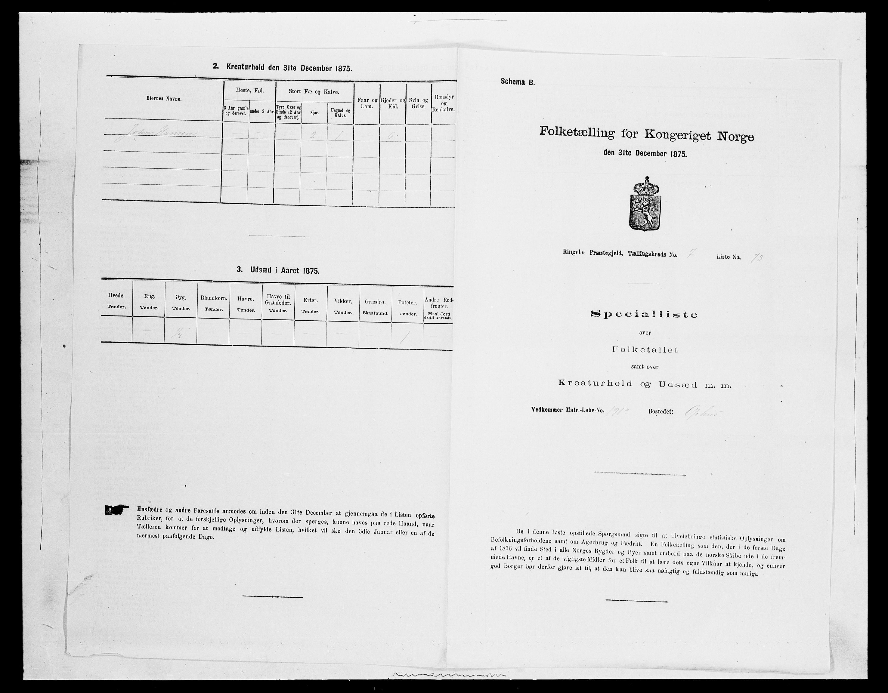 SAH, 1875 census for 0520P Ringebu, 1875, p. 1153