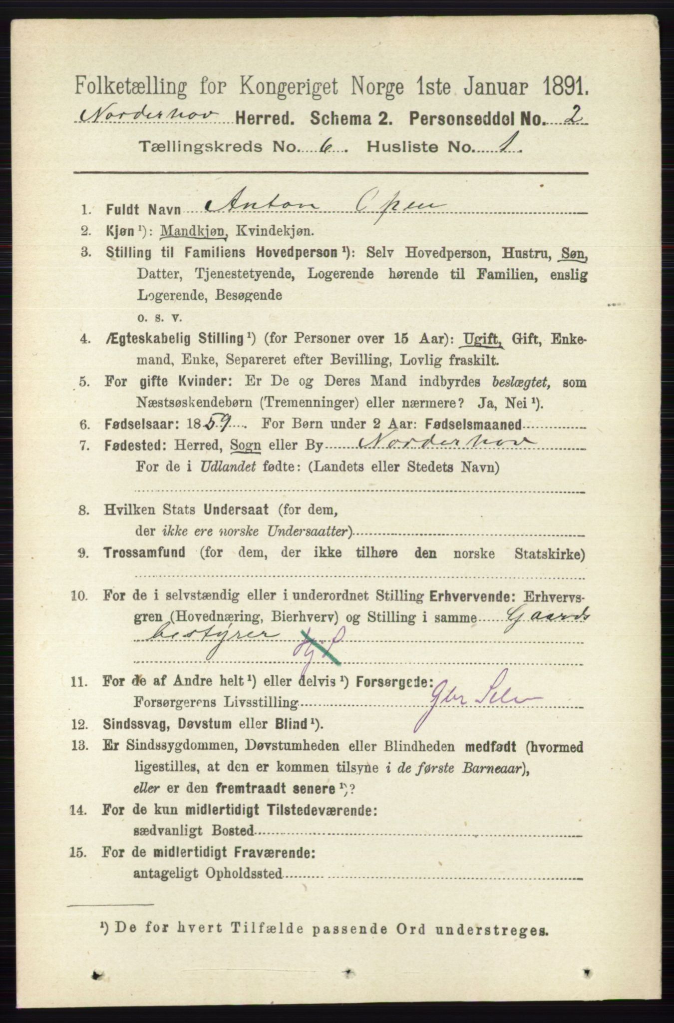 RA, 1891 census for 0613 Norderhov, 1891, p. 3999