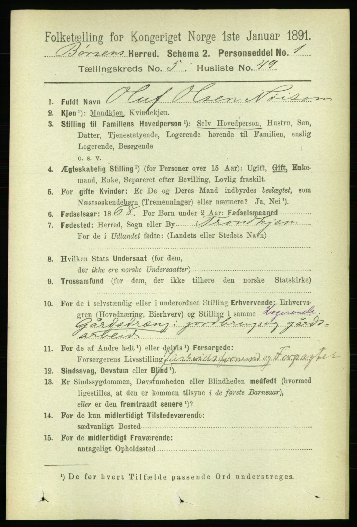 RA, 1891 census for 1658 Børsa, 1891, p. 2255