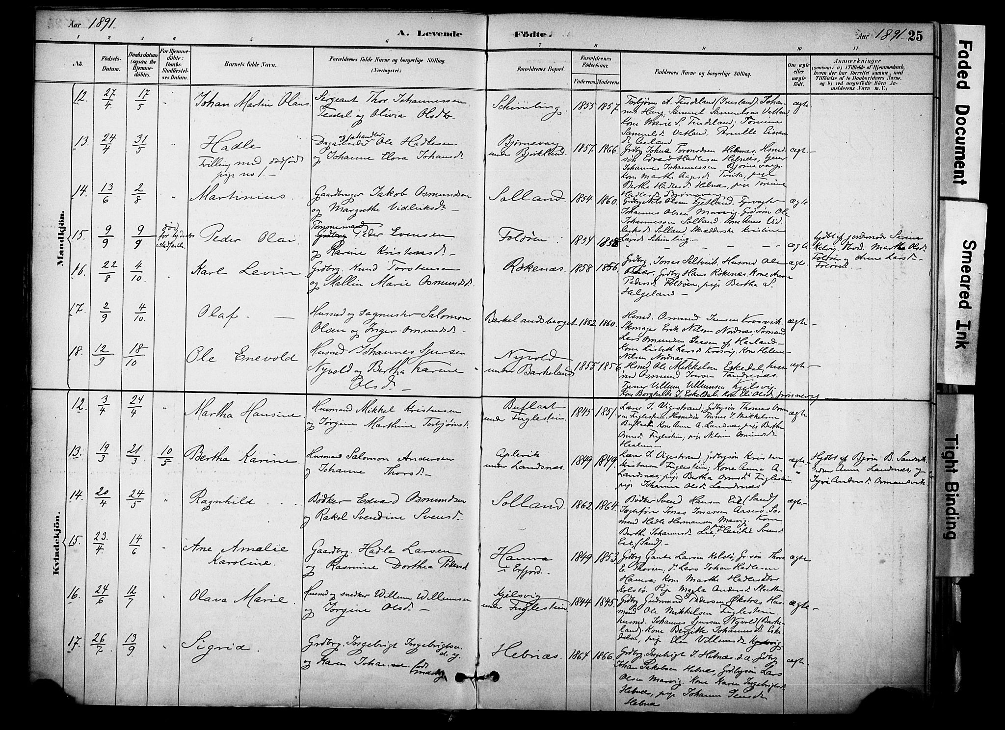 Jelsa sokneprestkontor, SAST/A-101842/01/IV: Parish register (official) no. A 10, 1884-1906, p. 25