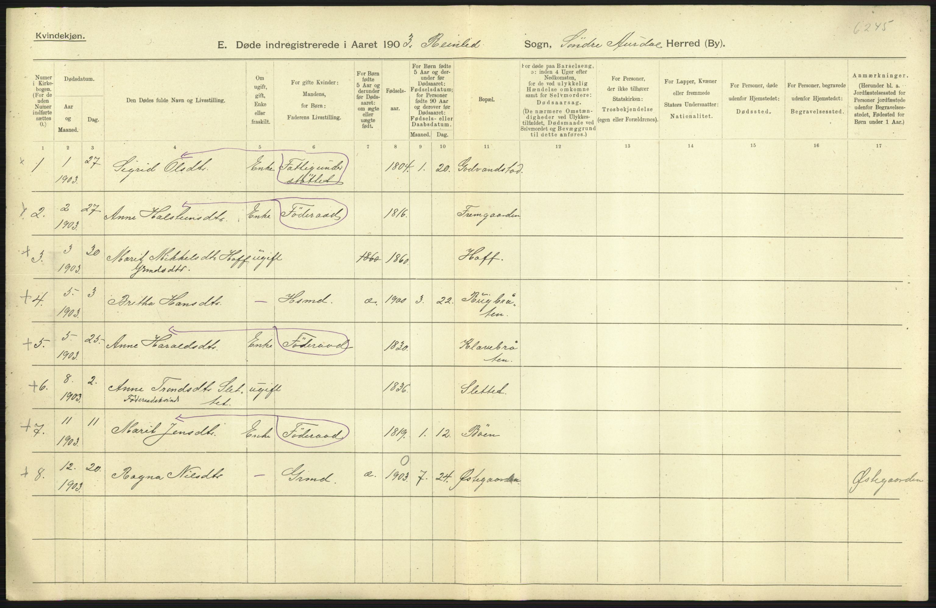 Statistisk sentralbyrå, Sosiodemografiske emner, Befolkning, AV/RA-S-2228/D/Df/Dfa/Dfaa/L0006: Kristians amt: Fødte, gifte, døde, 1903, p. 613