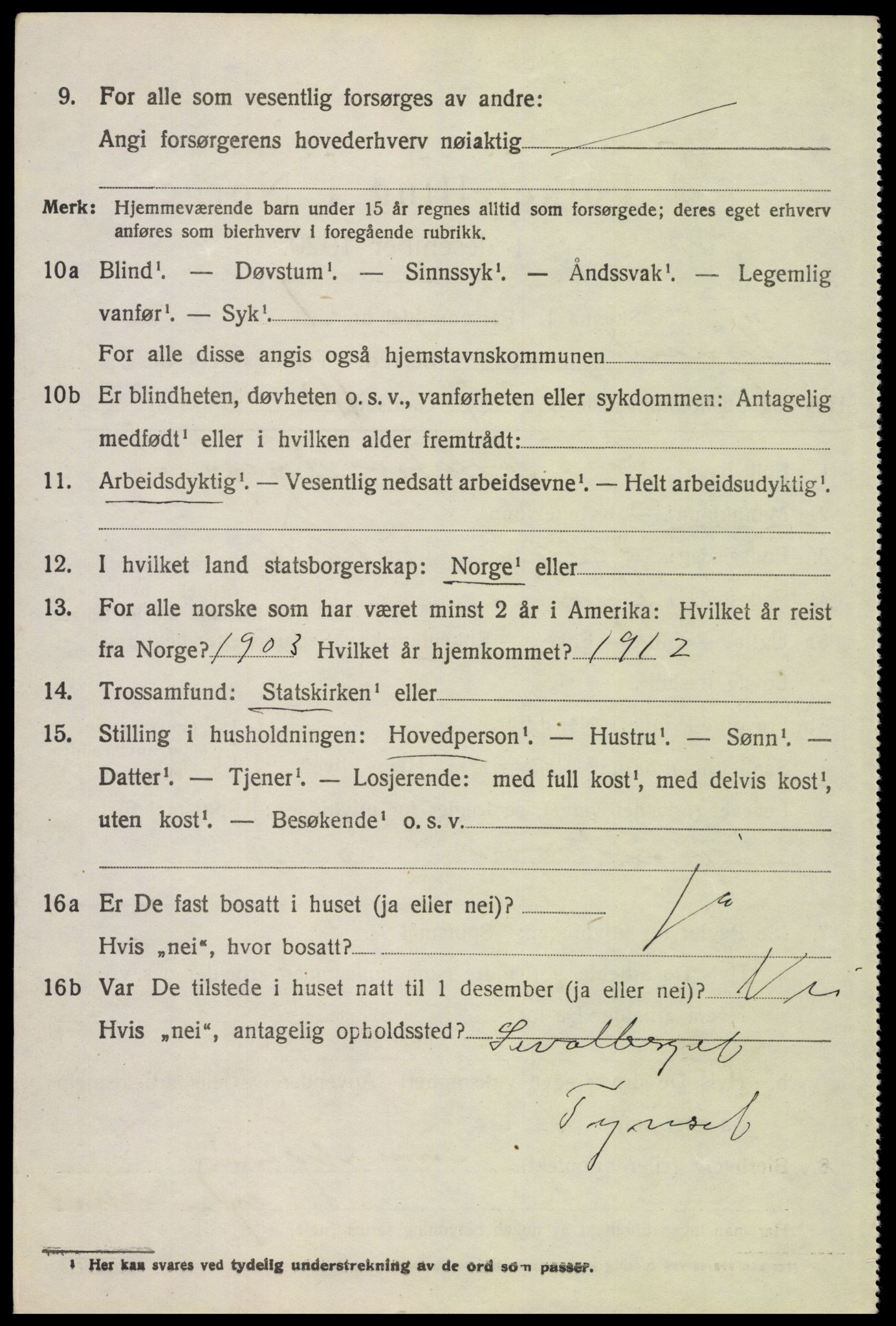 SAH, 1920 census for Tynset, 1920, p. 9217