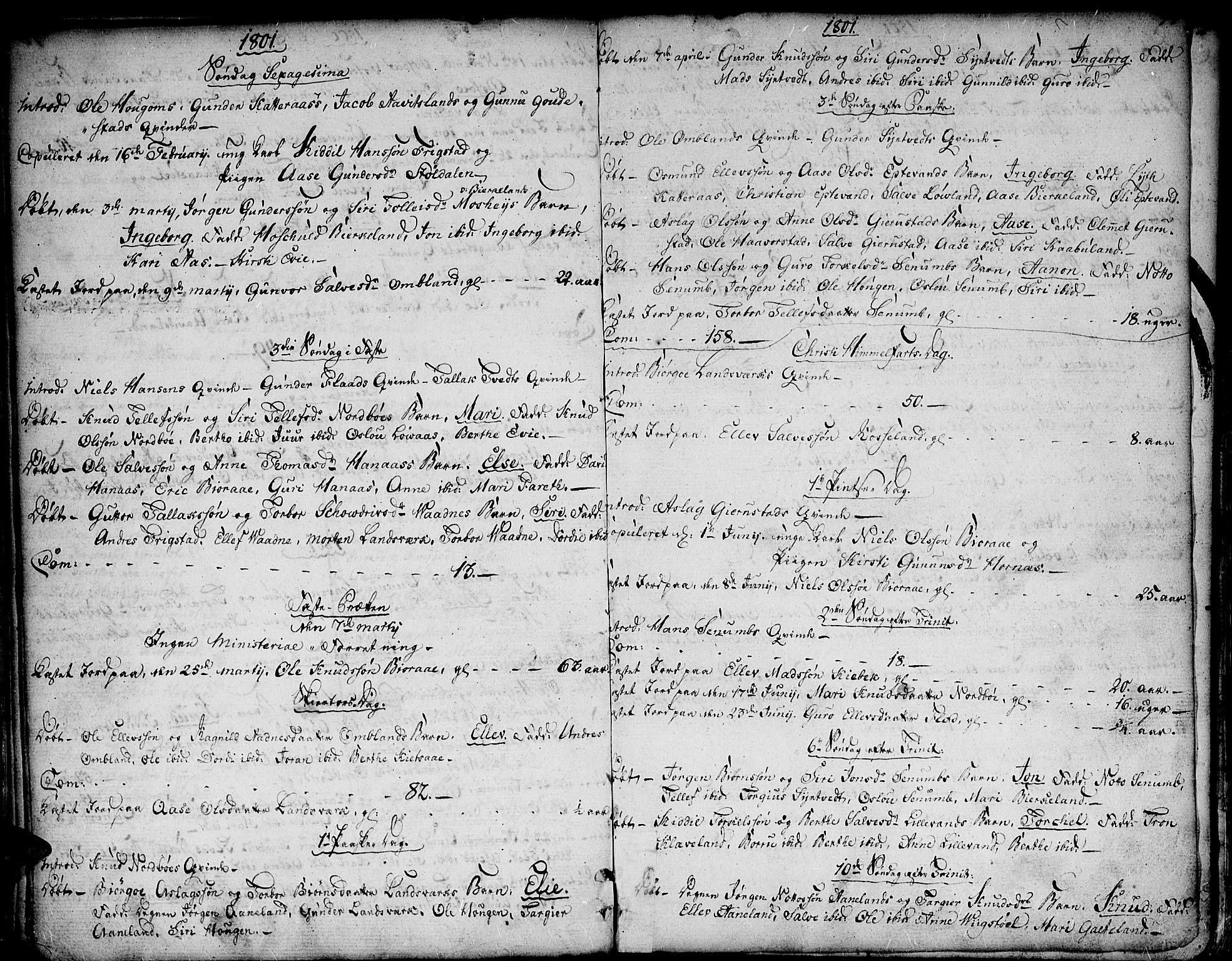 Evje sokneprestkontor, SAK/1111-0008/F/Fa/Faa/L0003: Parish register (official) no. A 3, 1787-1816, p. 41