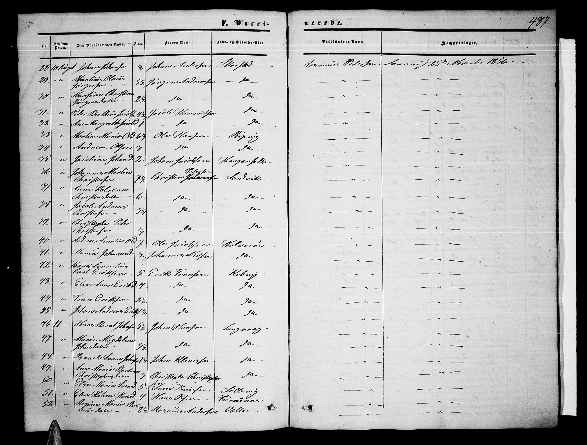 Ministerialprotokoller, klokkerbøker og fødselsregistre - Nordland, AV/SAT-A-1459/872/L1046: Parish register (copy) no. 872C02, 1852-1879, p. 487