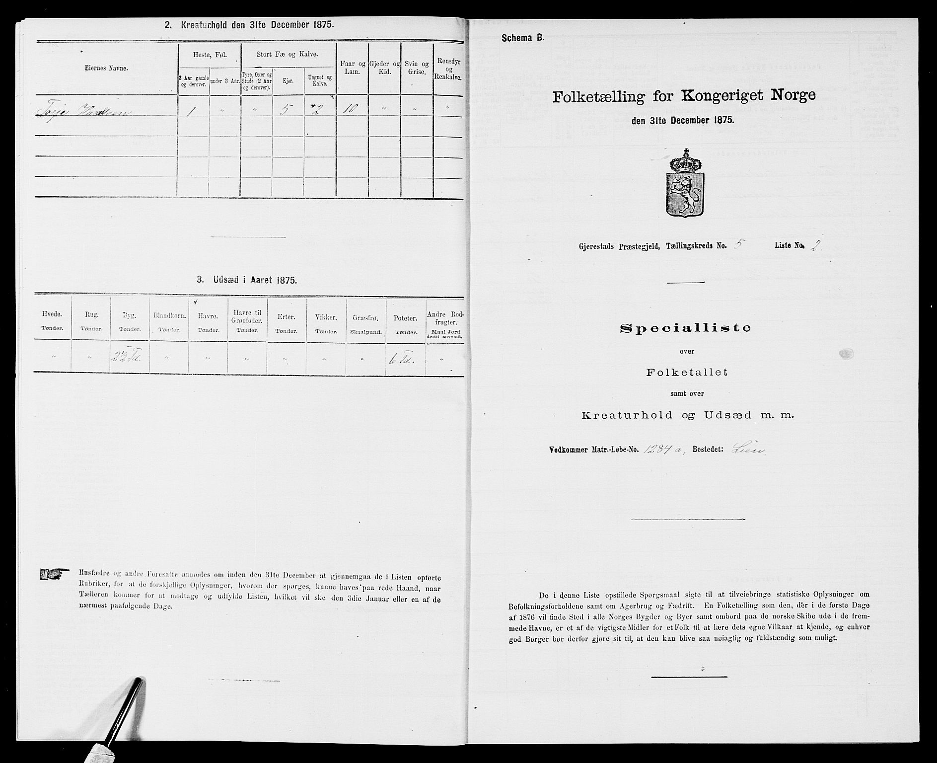 SAK, 1875 census for 0911P Gjerstad, 1875, p. 517