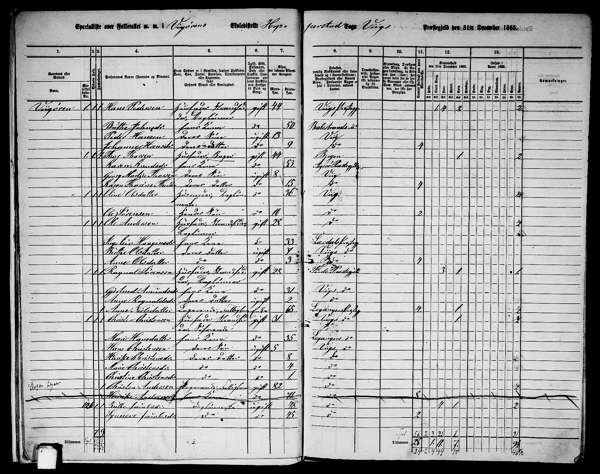 RA, 1865 census for Vik, 1865, p. 13