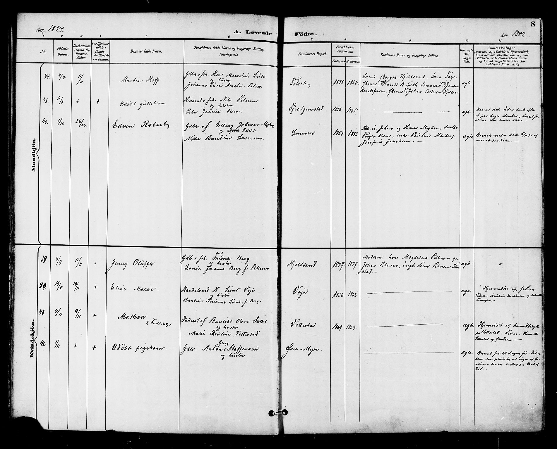 Ministerialprotokoller, klokkerbøker og fødselsregistre - Nordland, AV/SAT-A-1459/893/L1338: Parish register (official) no. 893A10, 1894-1903, p. 8