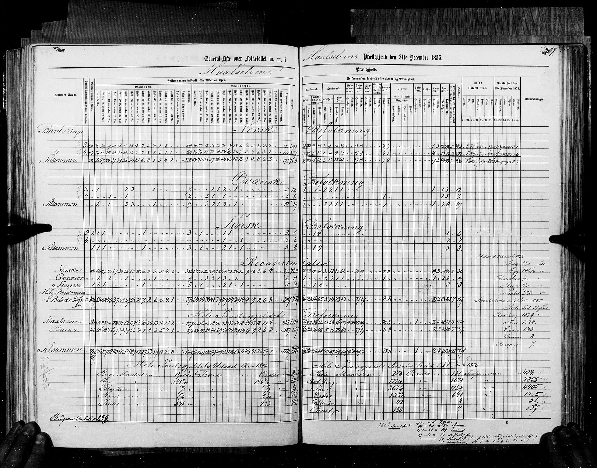 RA, Census 1855, vol. 6B: Nordland amt og Finnmarken amt, 1855, p. 307