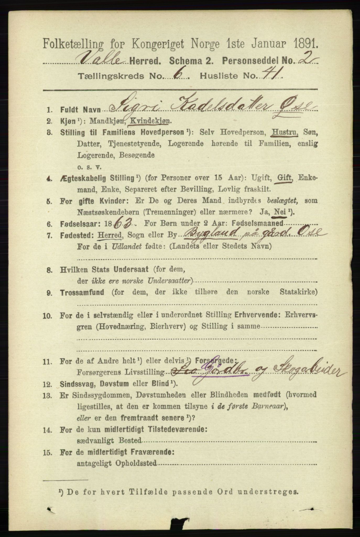 RA, 1891 census for 0940 Valle, 1891, p. 1915