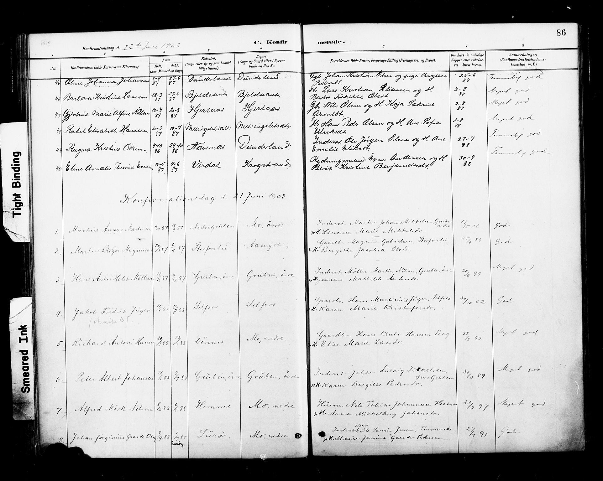 Ministerialprotokoller, klokkerbøker og fødselsregistre - Nordland, AV/SAT-A-1459/827/L0401: Parish register (official) no. 827A13, 1887-1905, p. 86