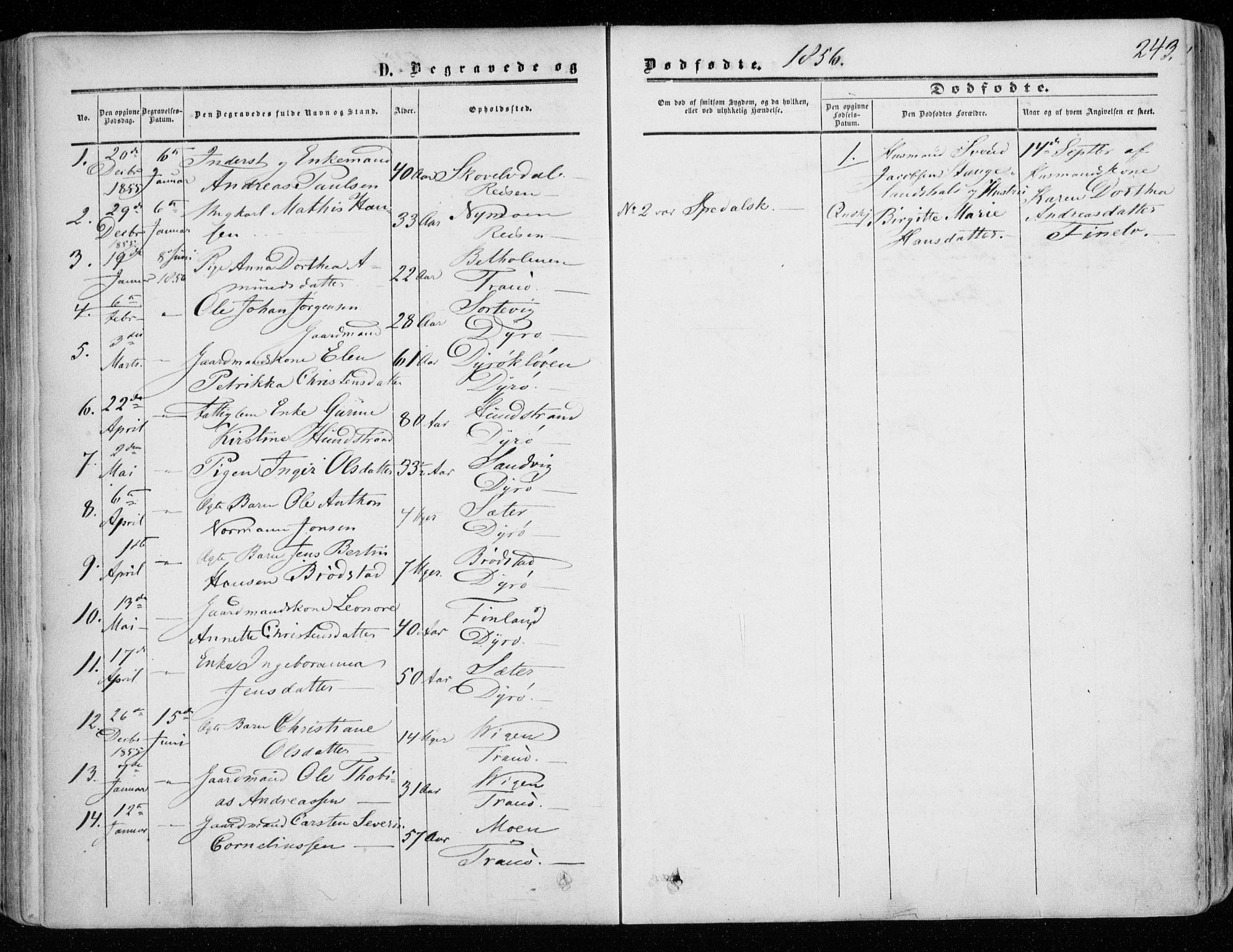 Tranøy sokneprestkontor, SATØ/S-1313/I/Ia/Iaa/L0007kirke: Parish register (official) no. 7, 1856-1866, p. 243