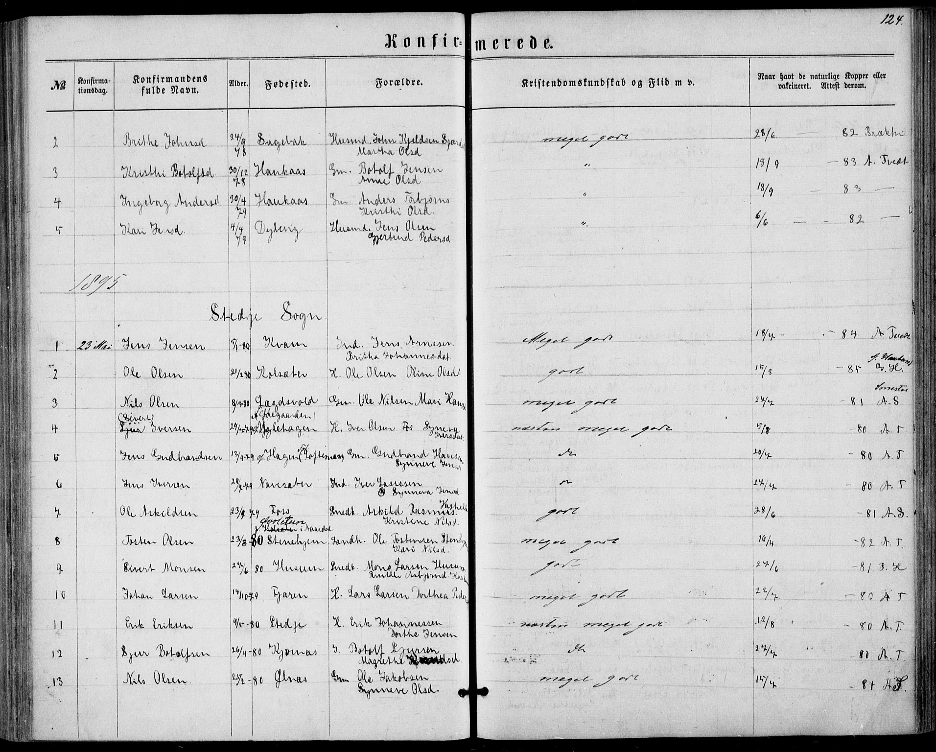 Sogndal sokneprestembete, SAB/A-81301/H/Haa/Haaa/L0015: Parish register (official) no. A 15, 1871-1904, p. 124