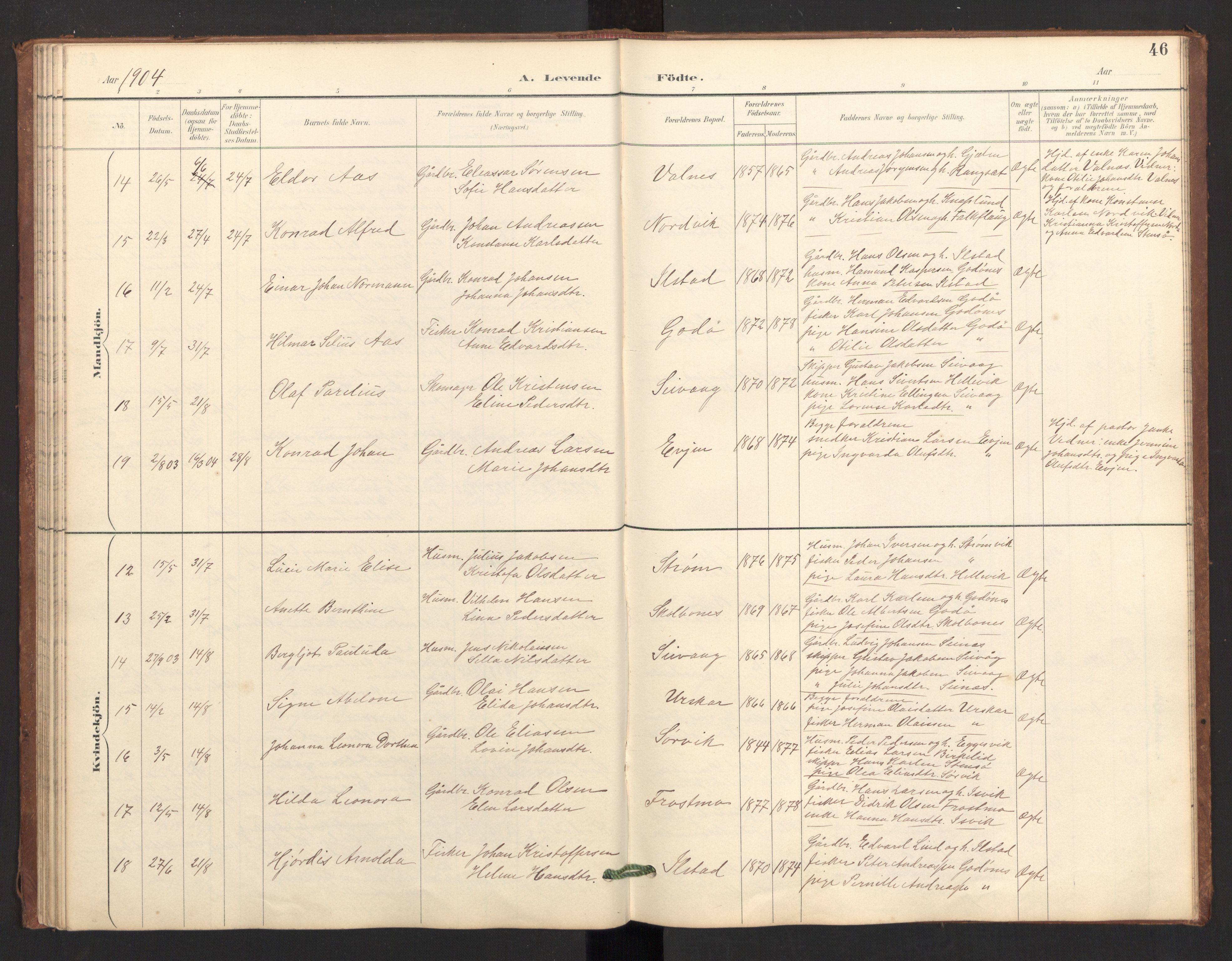 Ministerialprotokoller, klokkerbøker og fødselsregistre - Nordland, AV/SAT-A-1459/804/L0087: Parish register (official) no. 804A08, 1894-1907, p. 46