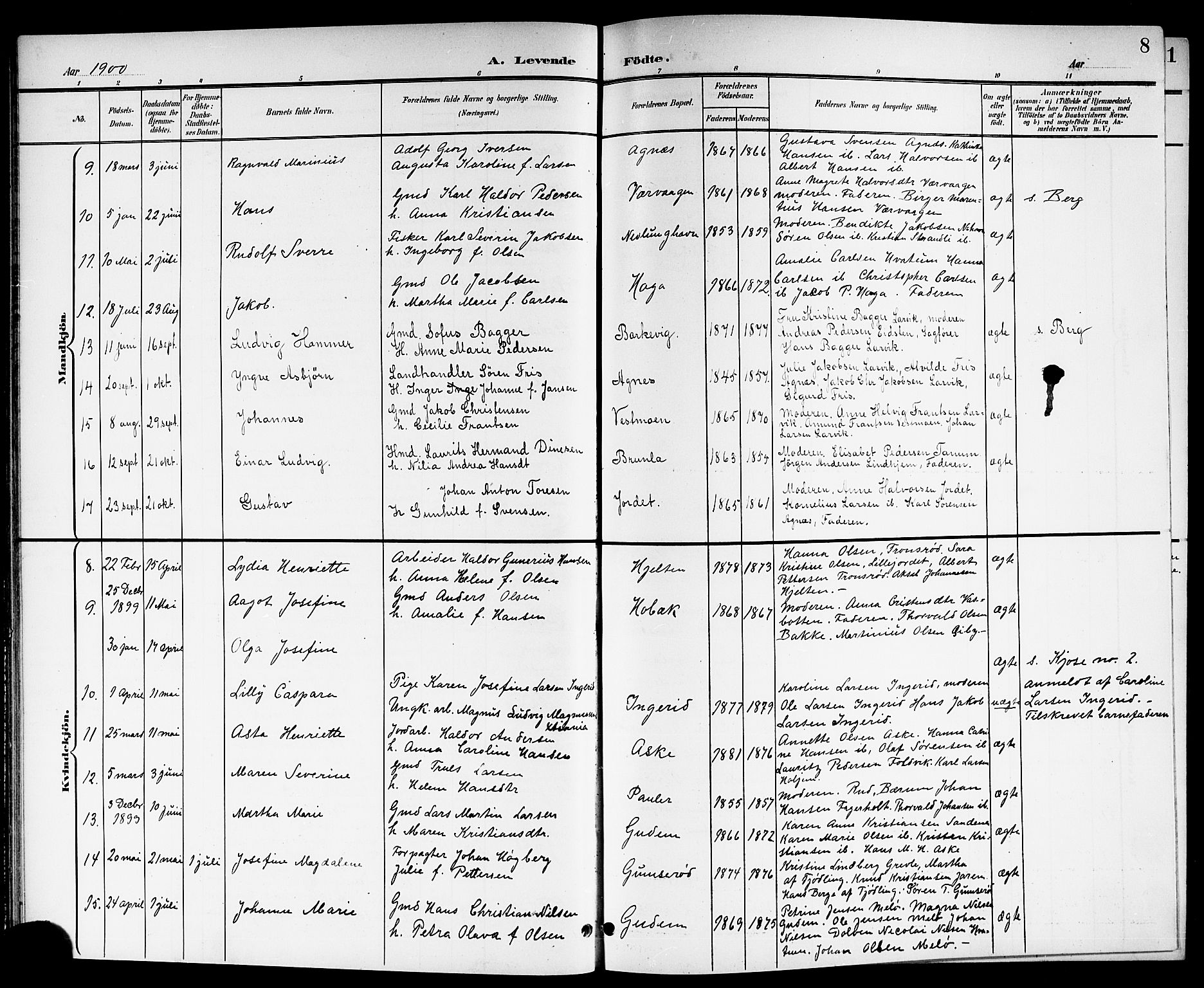Brunlanes kirkebøker, SAKO/A-342/G/Ga/L0004: Parish register (copy) no. I 4, 1898-1921, p. 8
