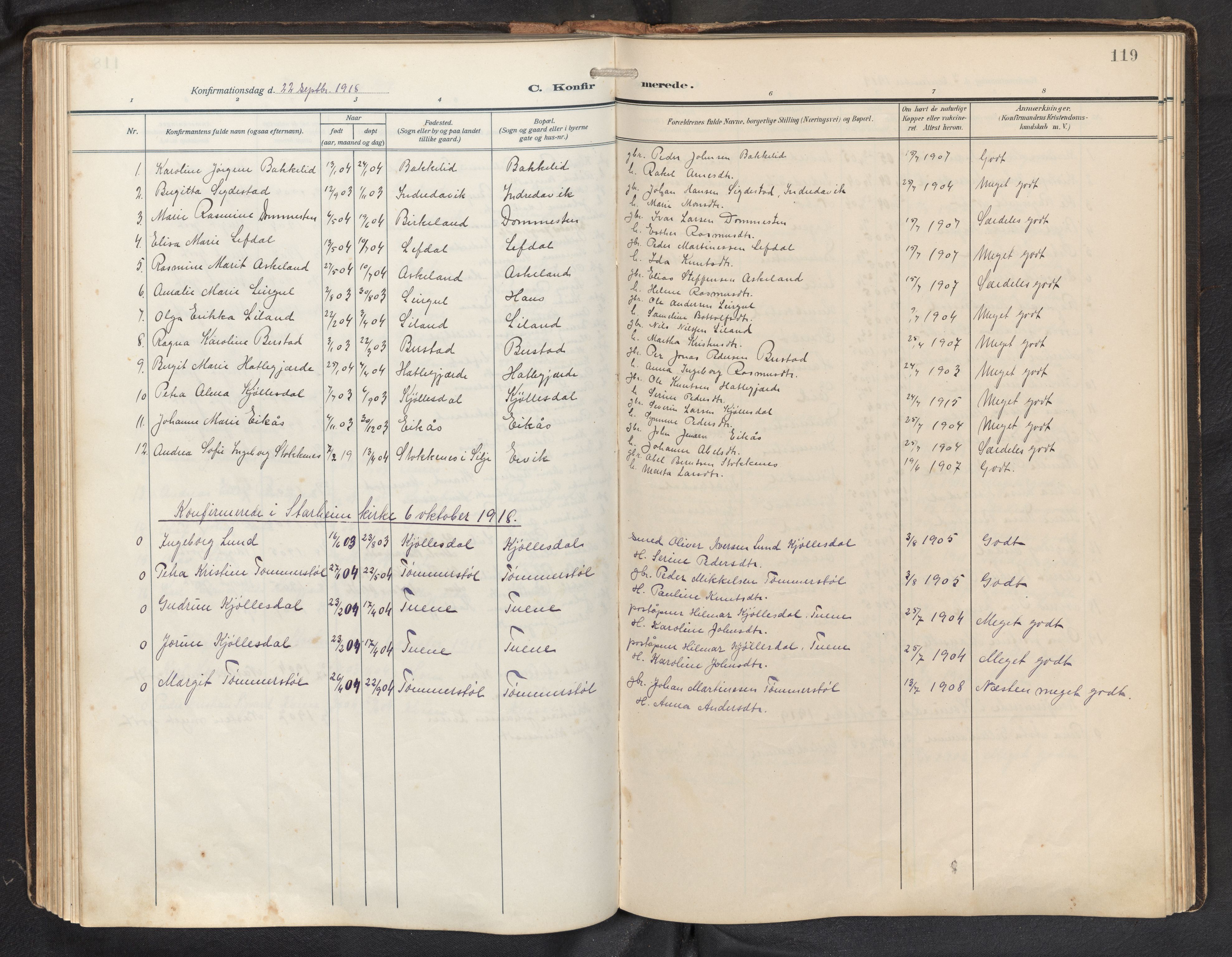 Davik sokneprestembete, AV/SAB-A-79701/H/Hab/Haba/L0003: Parish register (copy) no. A 3, 1912-1947, p. 118b-119a