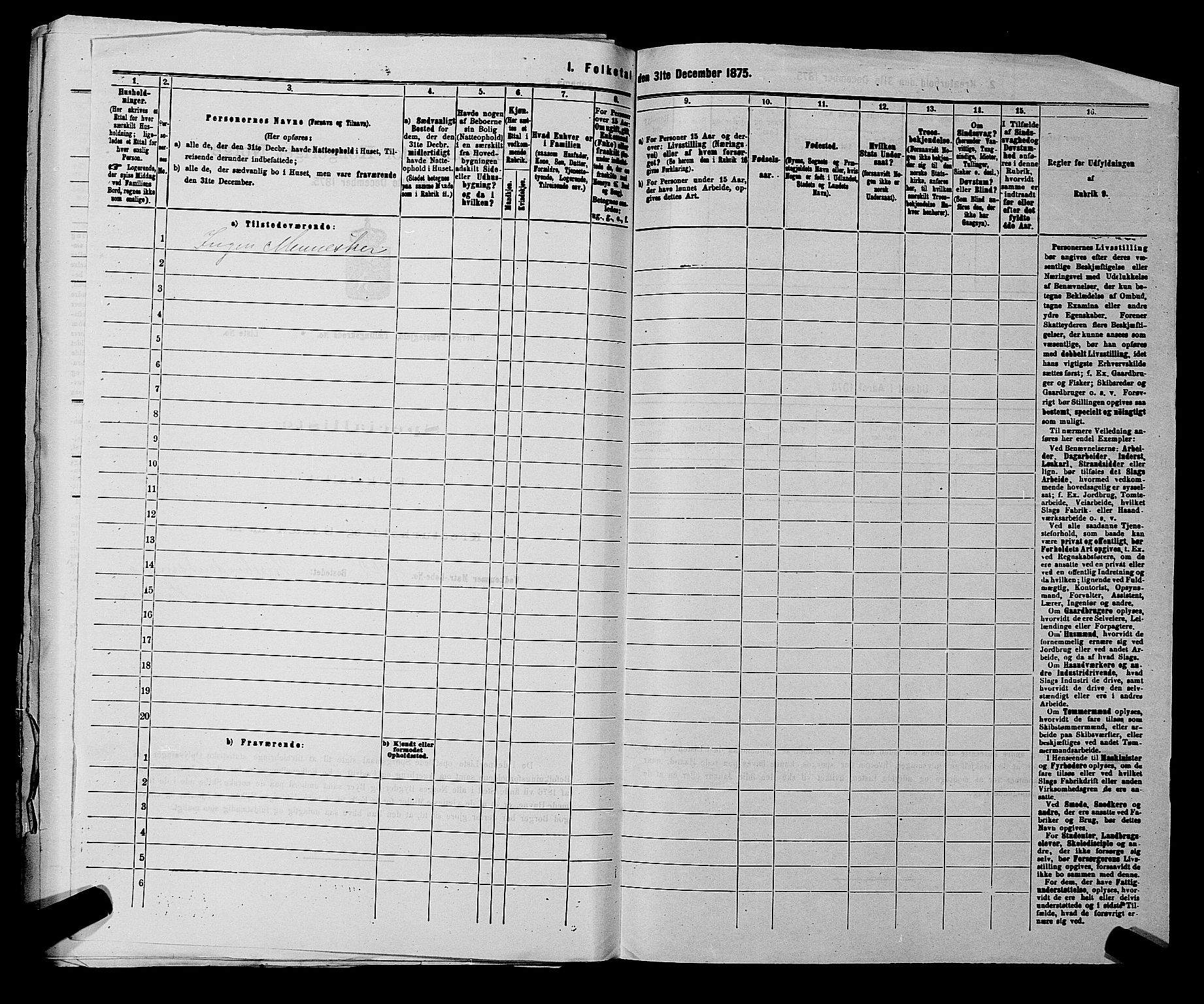 RA, 1875 census for 0116P Berg, 1875, p. 869