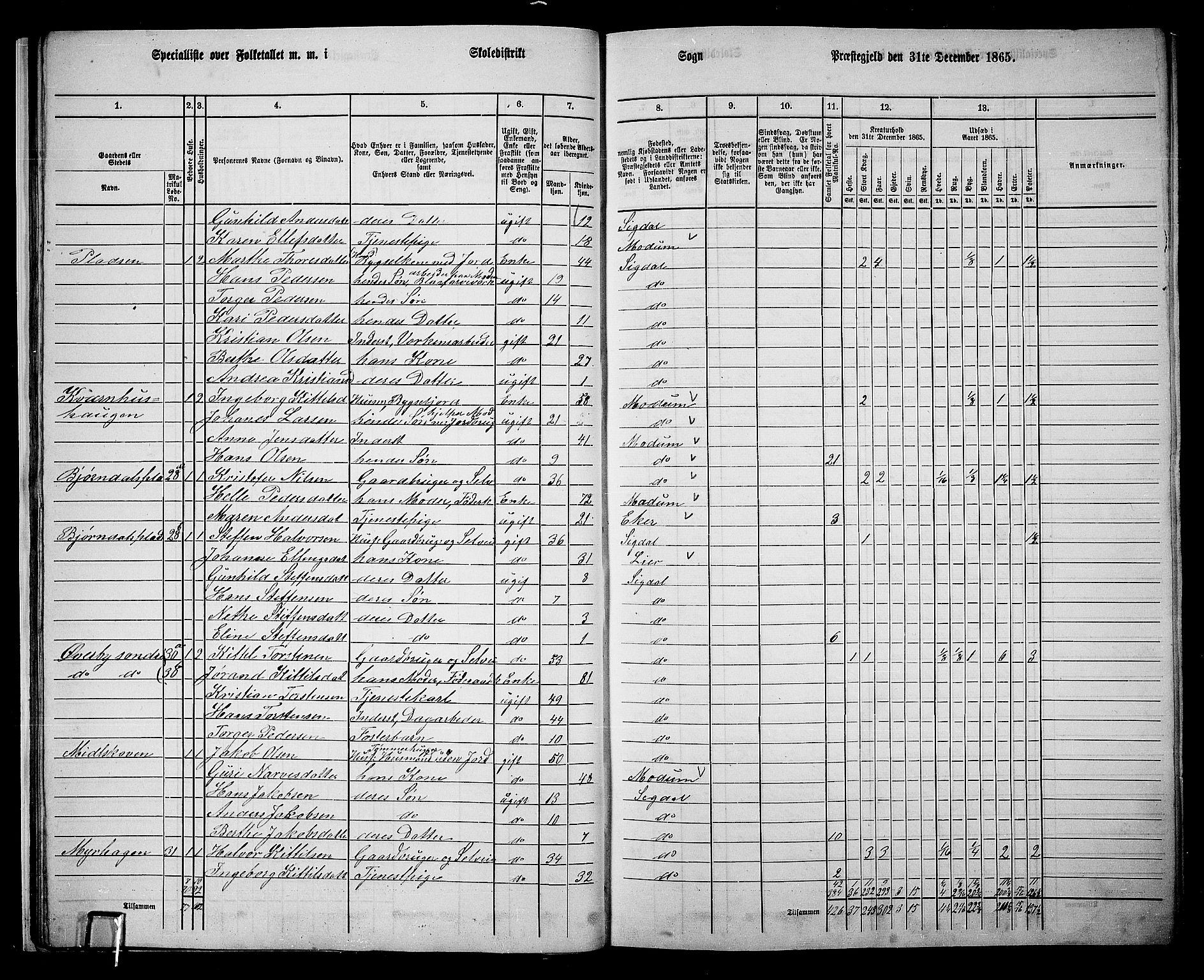 RA, 1865 census for Sigdal, 1865, p. 33