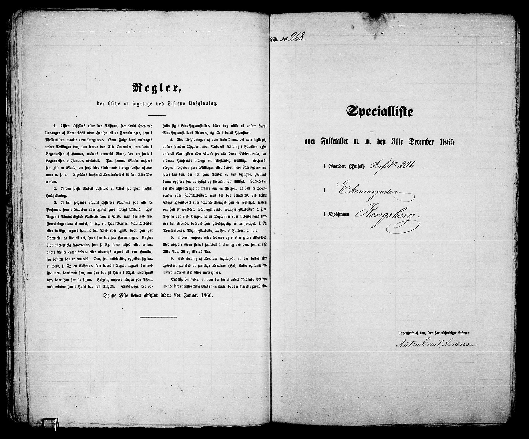 RA, 1865 census for Kongsberg/Kongsberg, 1865, p. 556