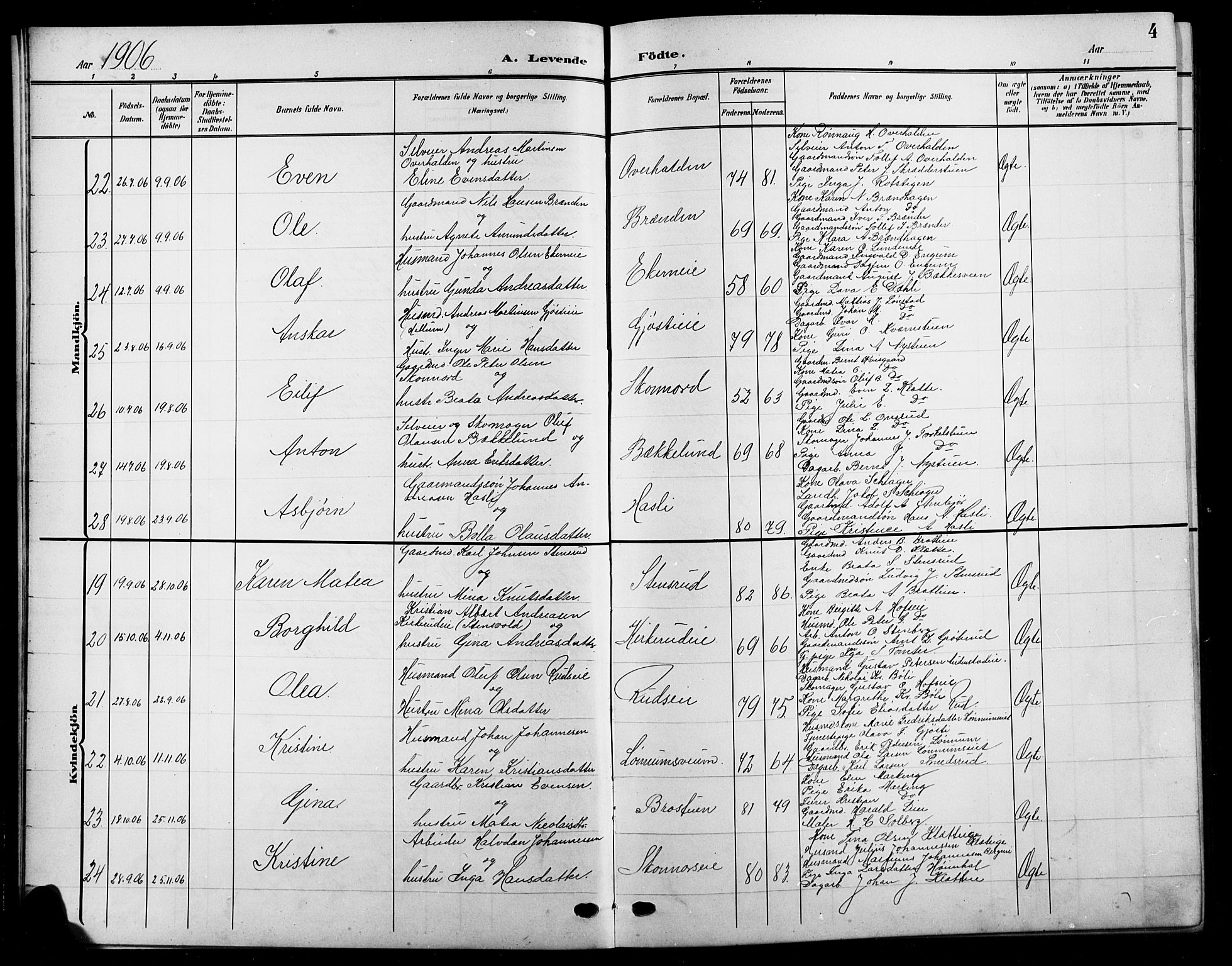 Biri prestekontor, SAH/PREST-096/H/Ha/Hab/L0005: Parish register (copy) no. 5, 1906-1919, p. 4