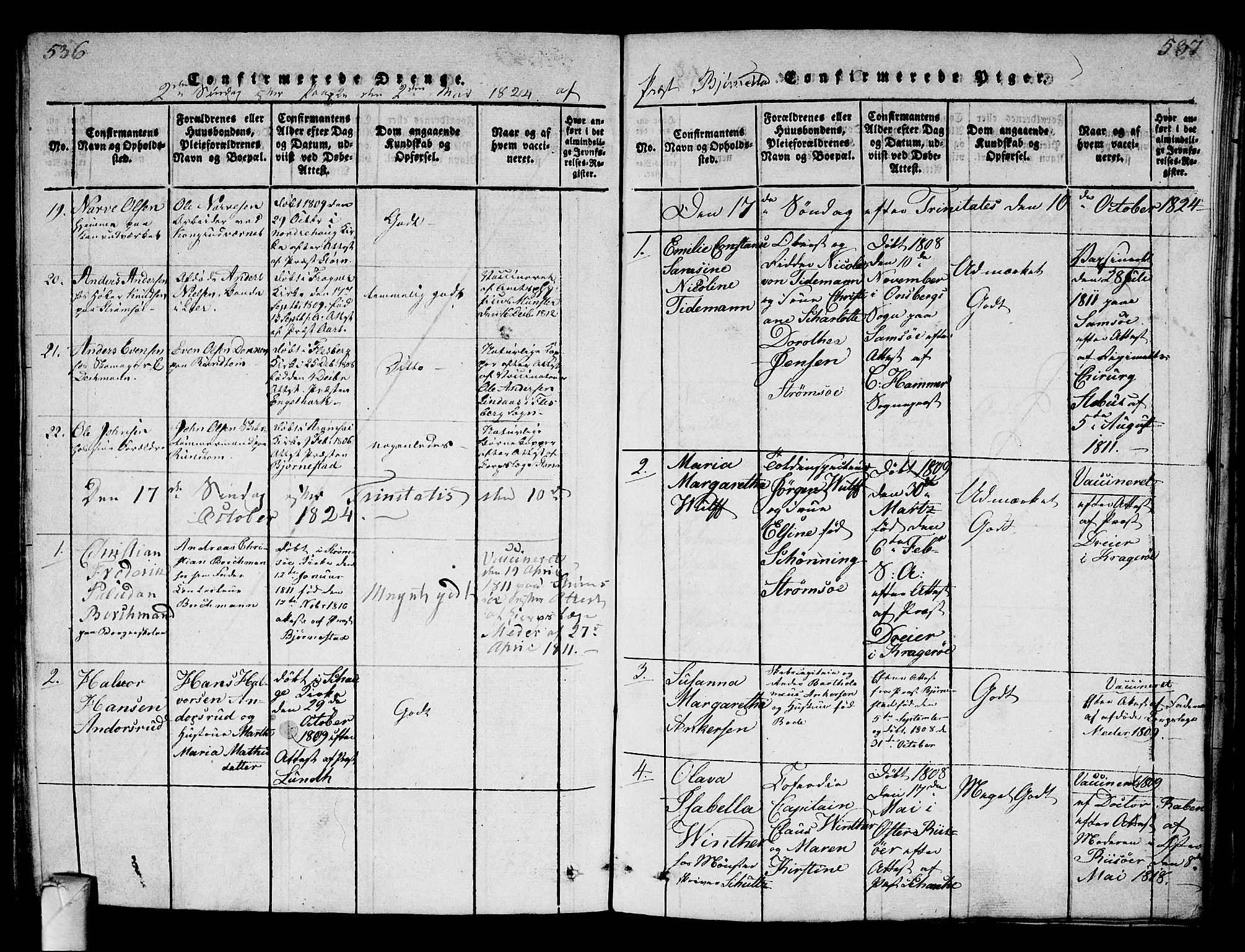 Strømsø kirkebøker, AV/SAKO-A-246/G/Ga/L0001: Parish register (copy) no. 1, 1815-1829, p. 536-537