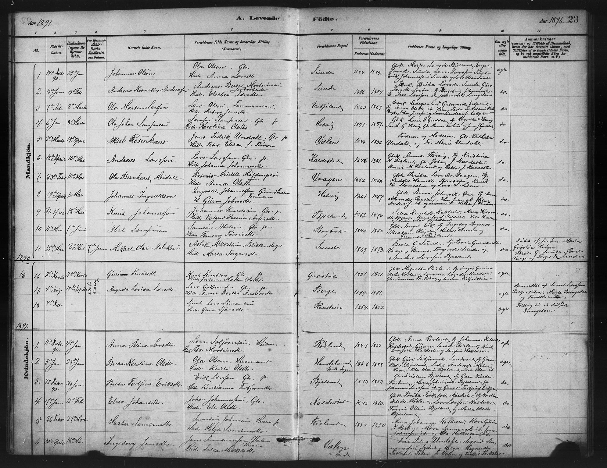 Husnes Sokneprestembete, AV/SAB-A-75901/H/Hab: Parish register (copy) no. A 2, 1881-1917, p. 23