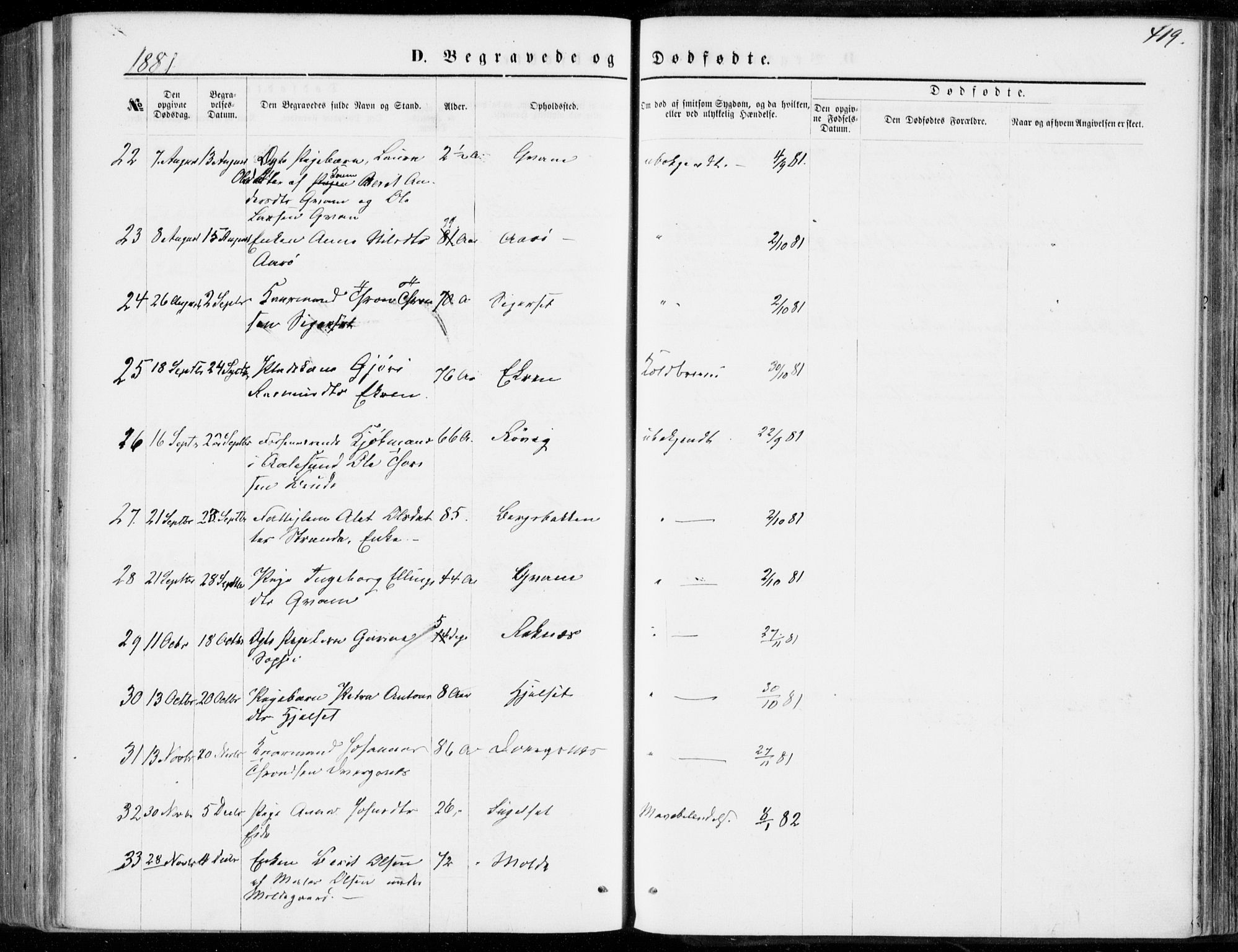 Ministerialprotokoller, klokkerbøker og fødselsregistre - Møre og Romsdal, AV/SAT-A-1454/555/L0655: Parish register (official) no. 555A05, 1869-1886, p. 419