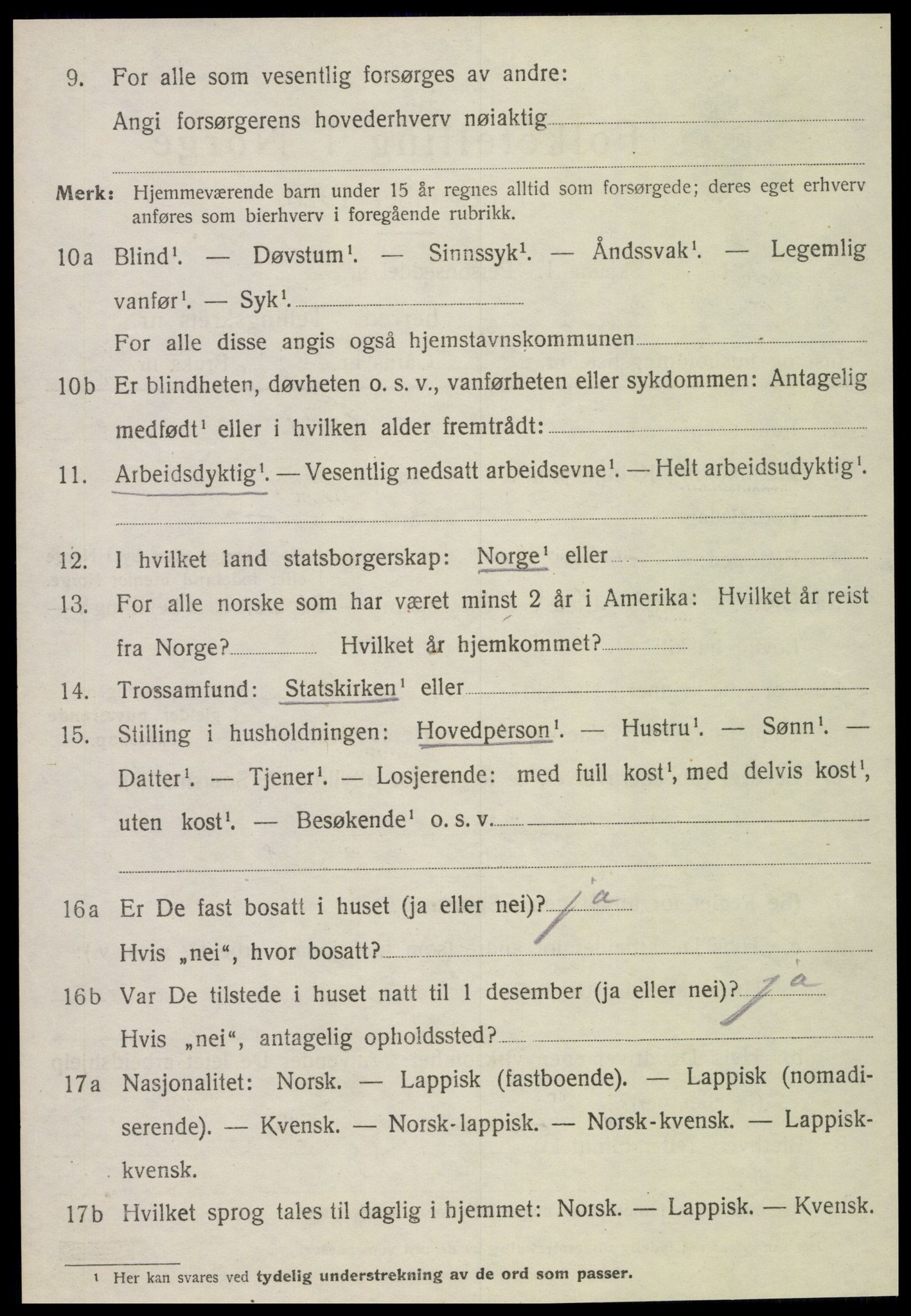 SAT, 1920 census for Stjørdal, 1920, p. 6729