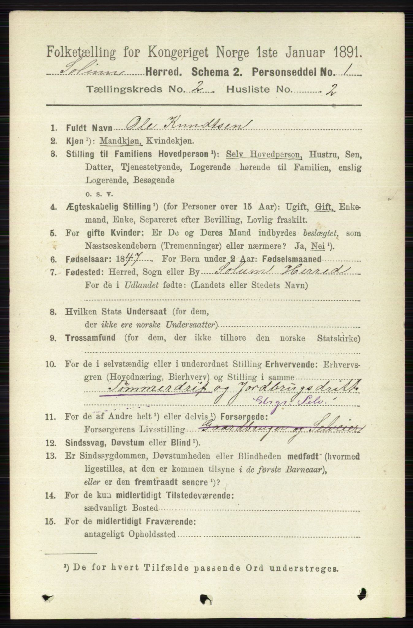 RA, 1891 census for 0818 Solum, 1891, p. 123