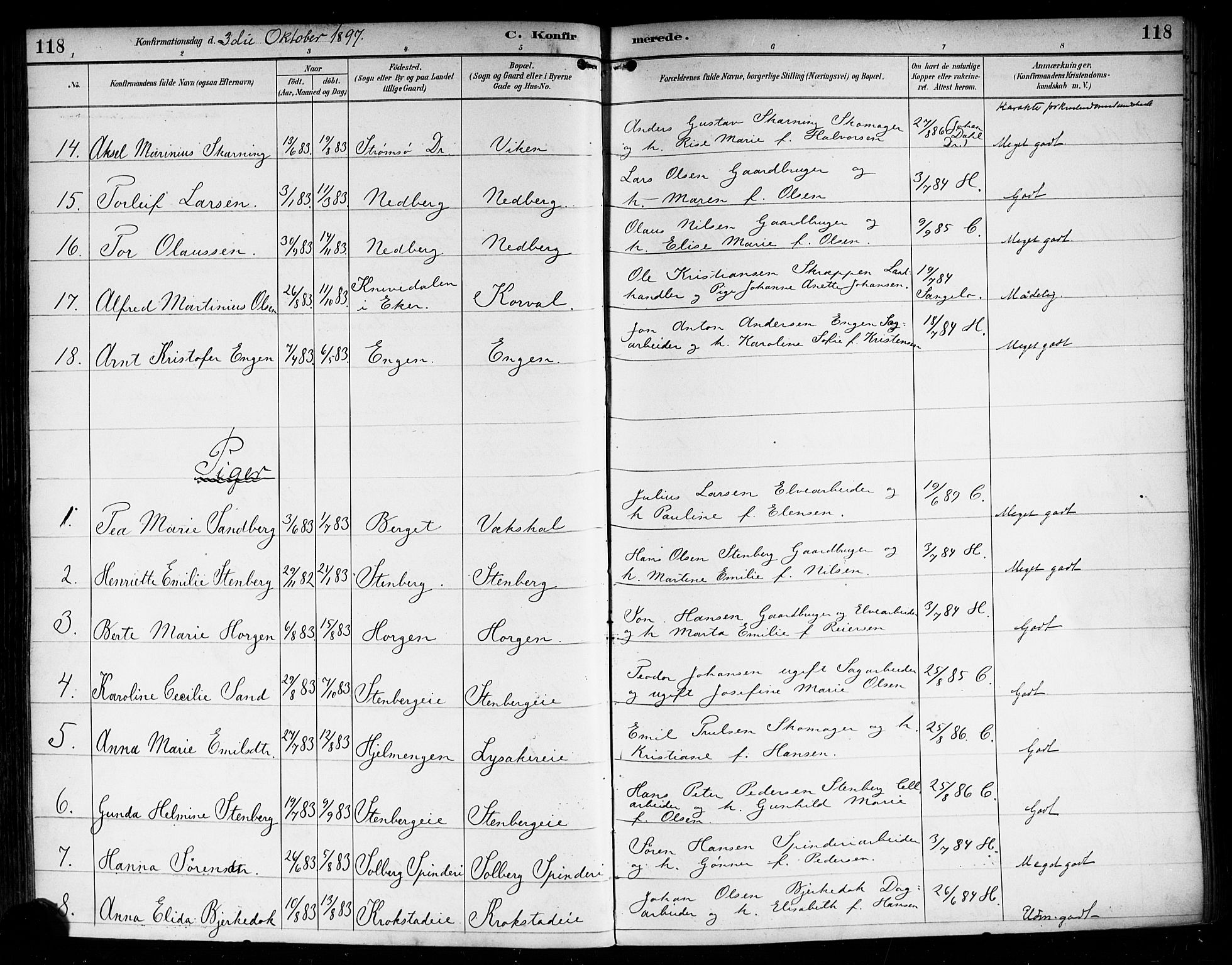 Nedre Eiker kirkebøker, AV/SAKO-A-612/F/Fa/L0004: Parish register (official) no. 4, 1893-1898, p. 118