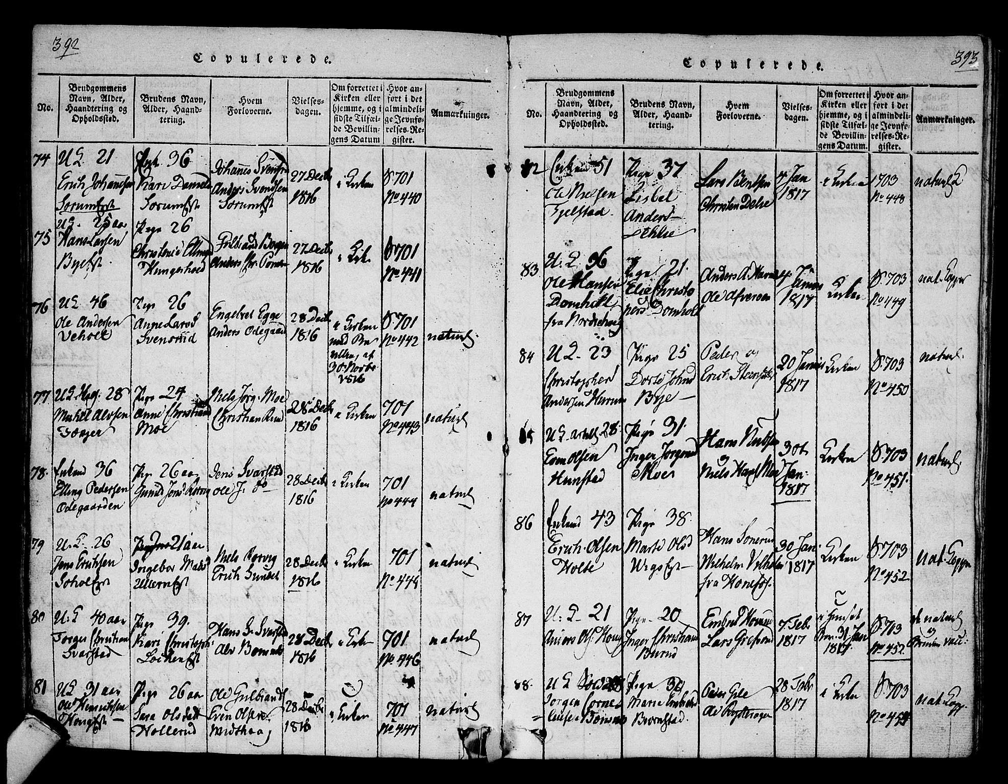 Hole kirkebøker, SAKO/A-228/F/Fa/L0004: Parish register (official) no. I 4, 1814-1833, p. 392-393