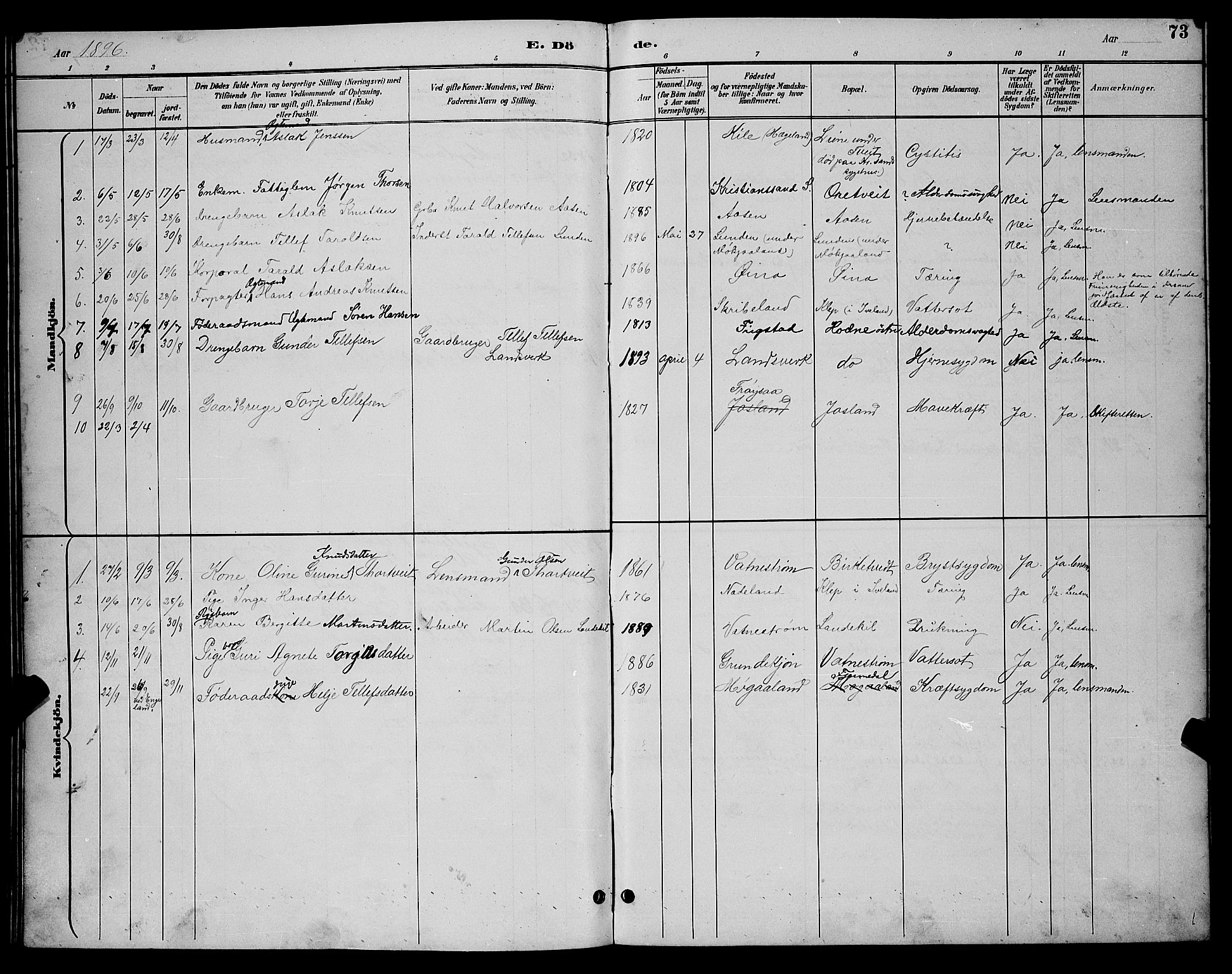 Evje sokneprestkontor, SAK/1111-0008/F/Fb/Fbc/L0004: Parish register (copy) no. B 4, 1890-1900, p. 73