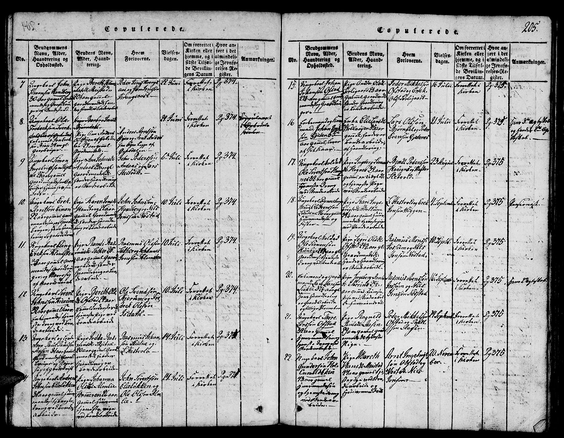 Ministerialprotokoller, klokkerbøker og fødselsregistre - Sør-Trøndelag, SAT/A-1456/665/L0776: Parish register (copy) no. 665C01, 1817-1837, p. 205