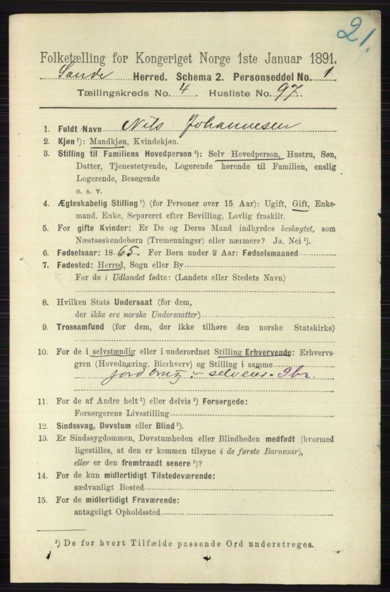 RA, 1891 census for 0713 Sande, 1891, p. 2053