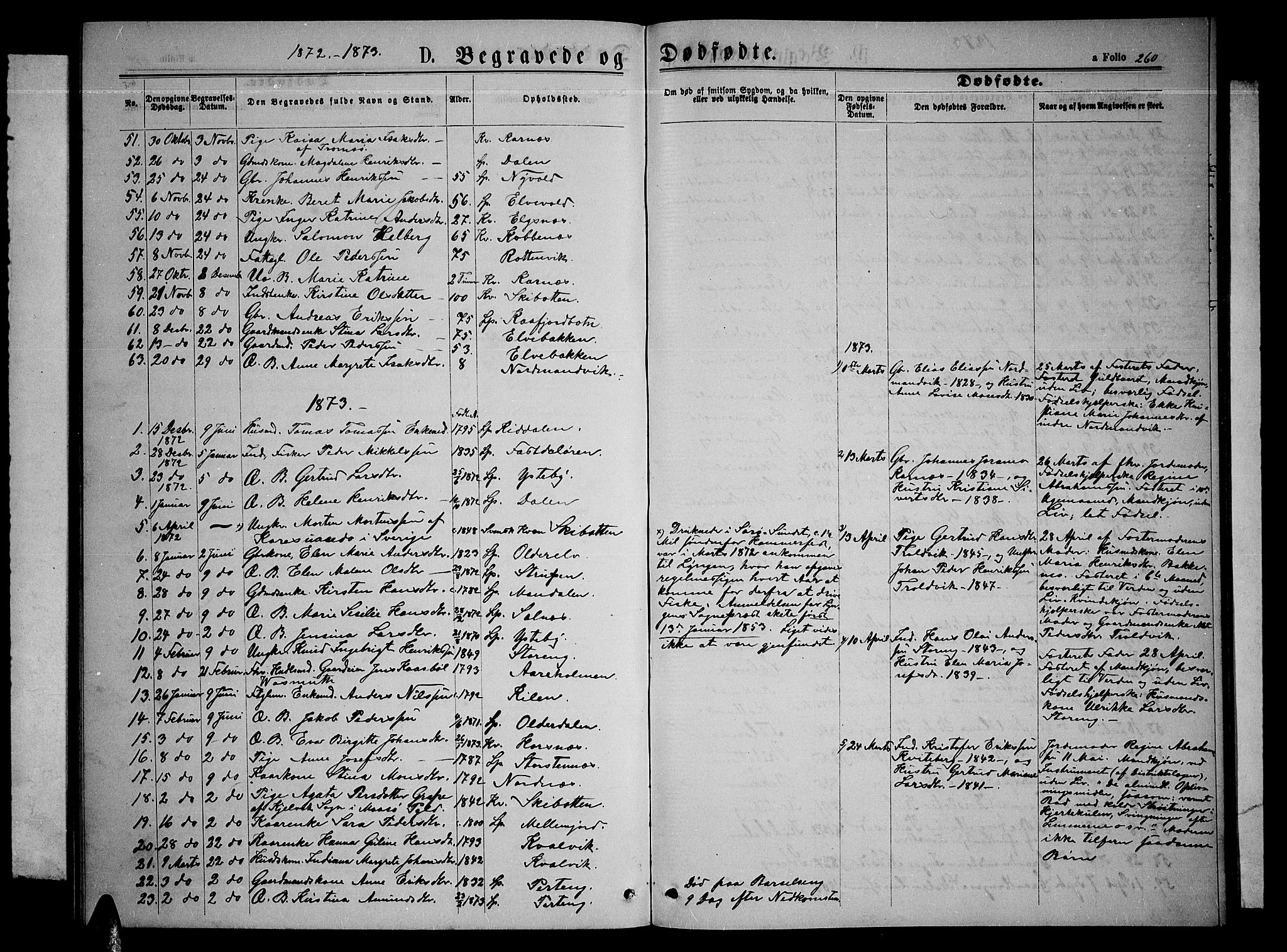 Lyngen sokneprestembete, SATØ/S-1289/H/He/Heb/L0004klokker: Parish register (copy) no. 4, 1868-1878, p. 260