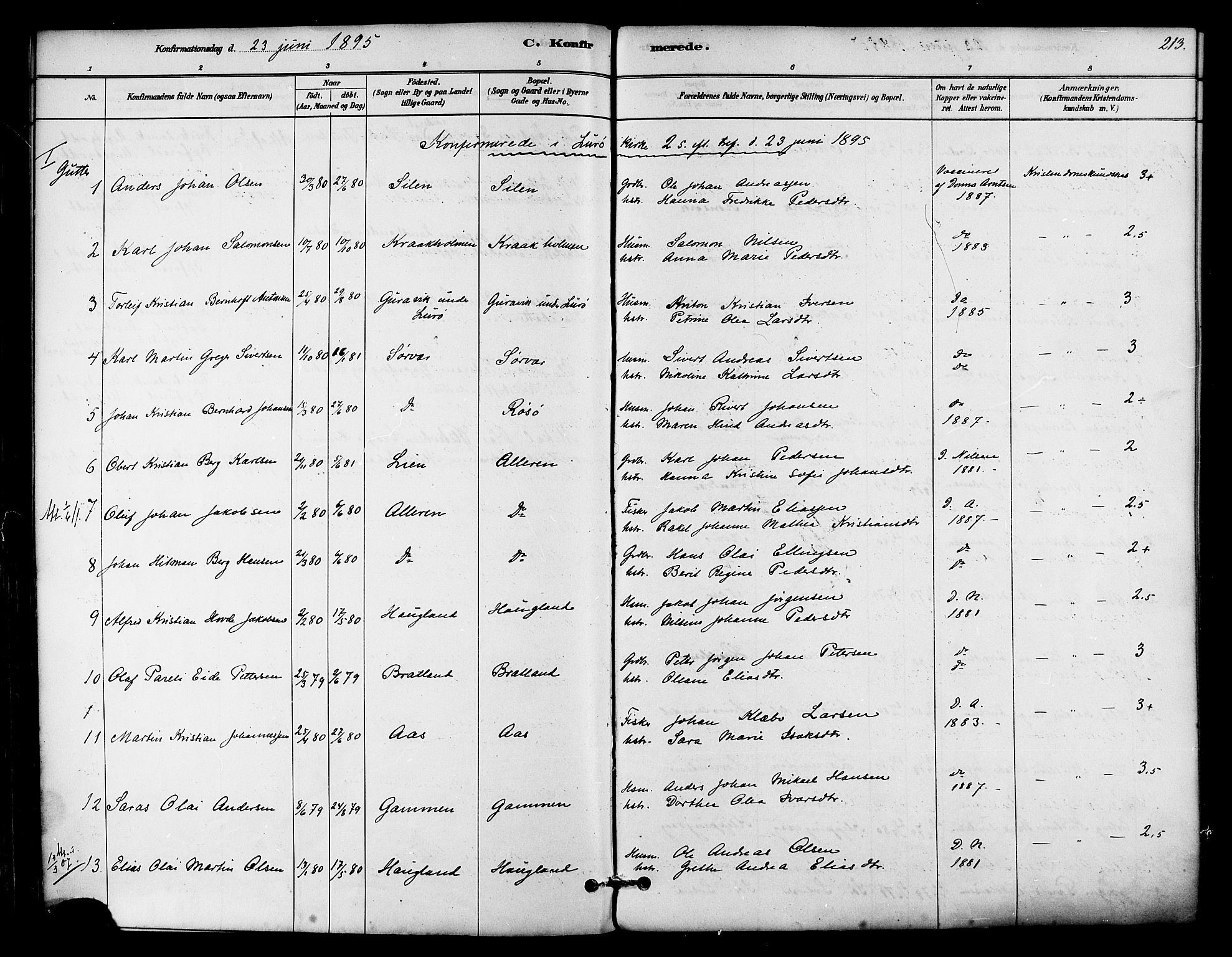 Ministerialprotokoller, klokkerbøker og fødselsregistre - Nordland, SAT/A-1459/839/L0568: Parish register (official) no. 839A05, 1880-1902, p. 213