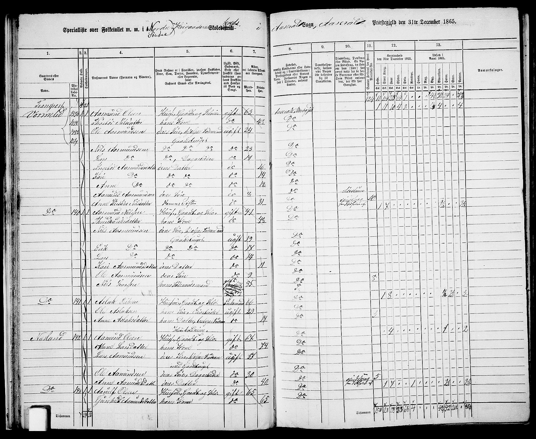 RA, 1865 census for Åseral, 1865, p. 27