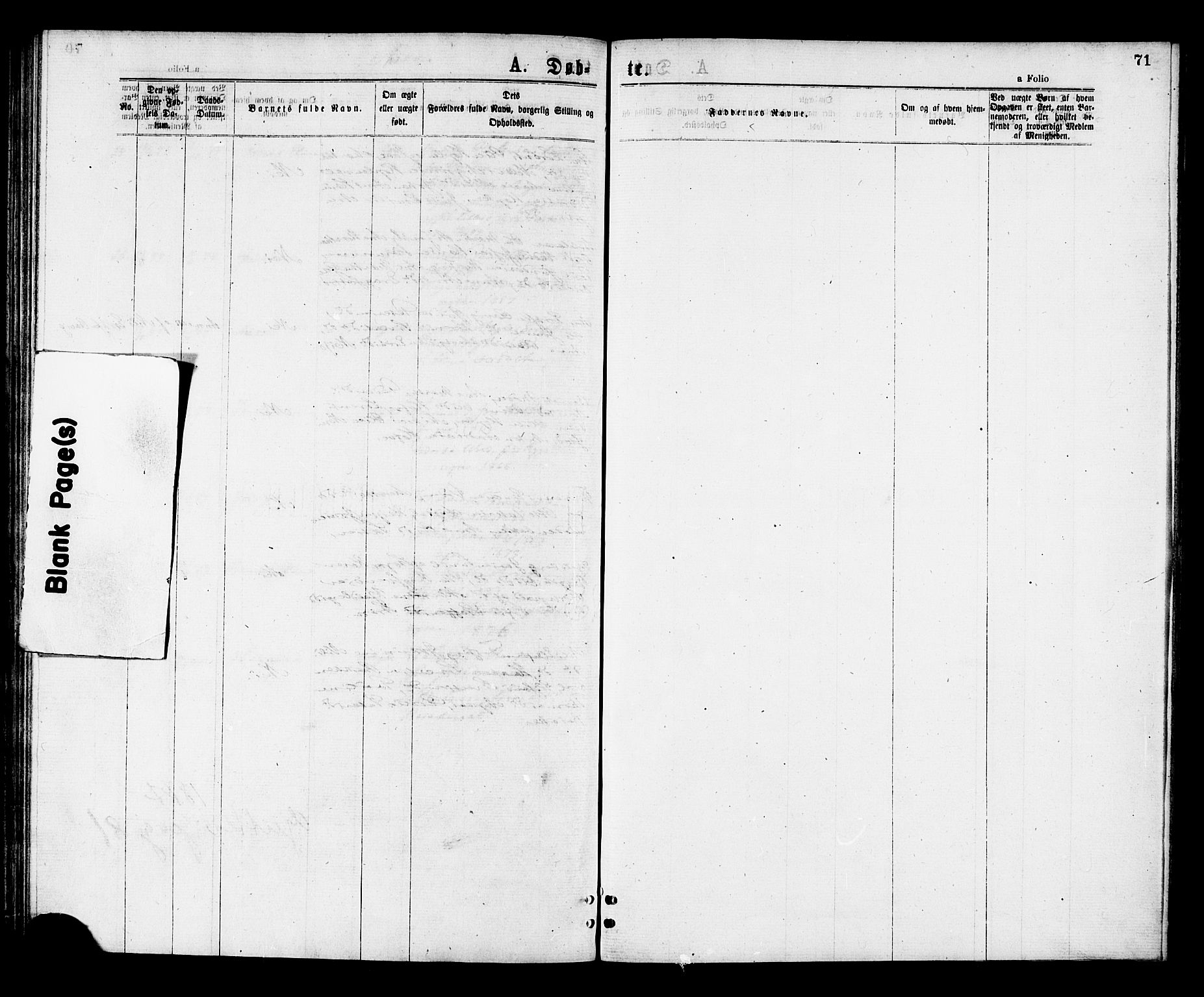 Ministerialprotokoller, klokkerbøker og fødselsregistre - Nord-Trøndelag, SAT/A-1458/713/L0118: Parish register (official) no. 713A08 /2, 1875-1877, p. 71