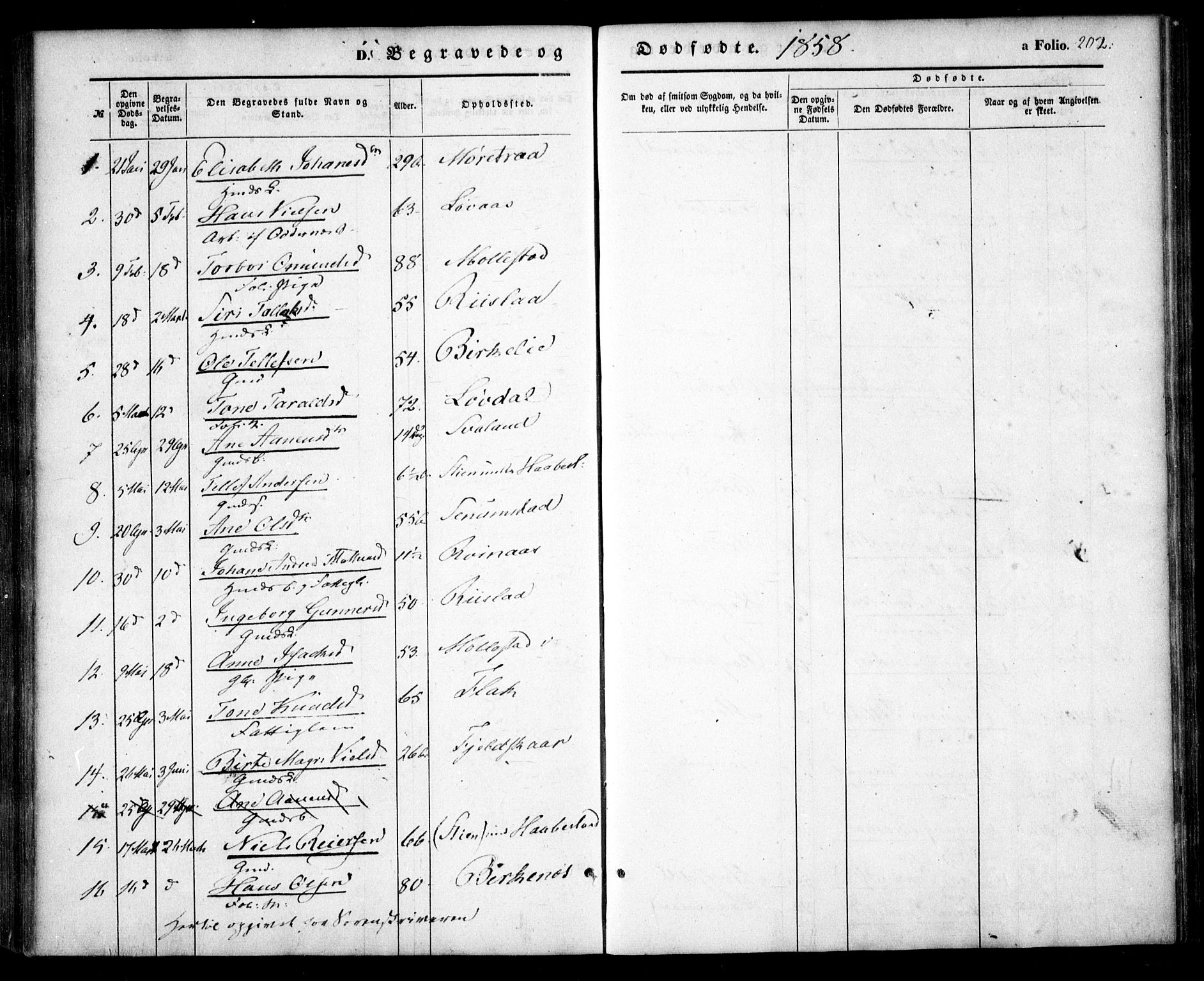 Birkenes sokneprestkontor, AV/SAK-1111-0004/F/Fa/L0003: Parish register (official) no. A 3, 1850-1866, p. 202