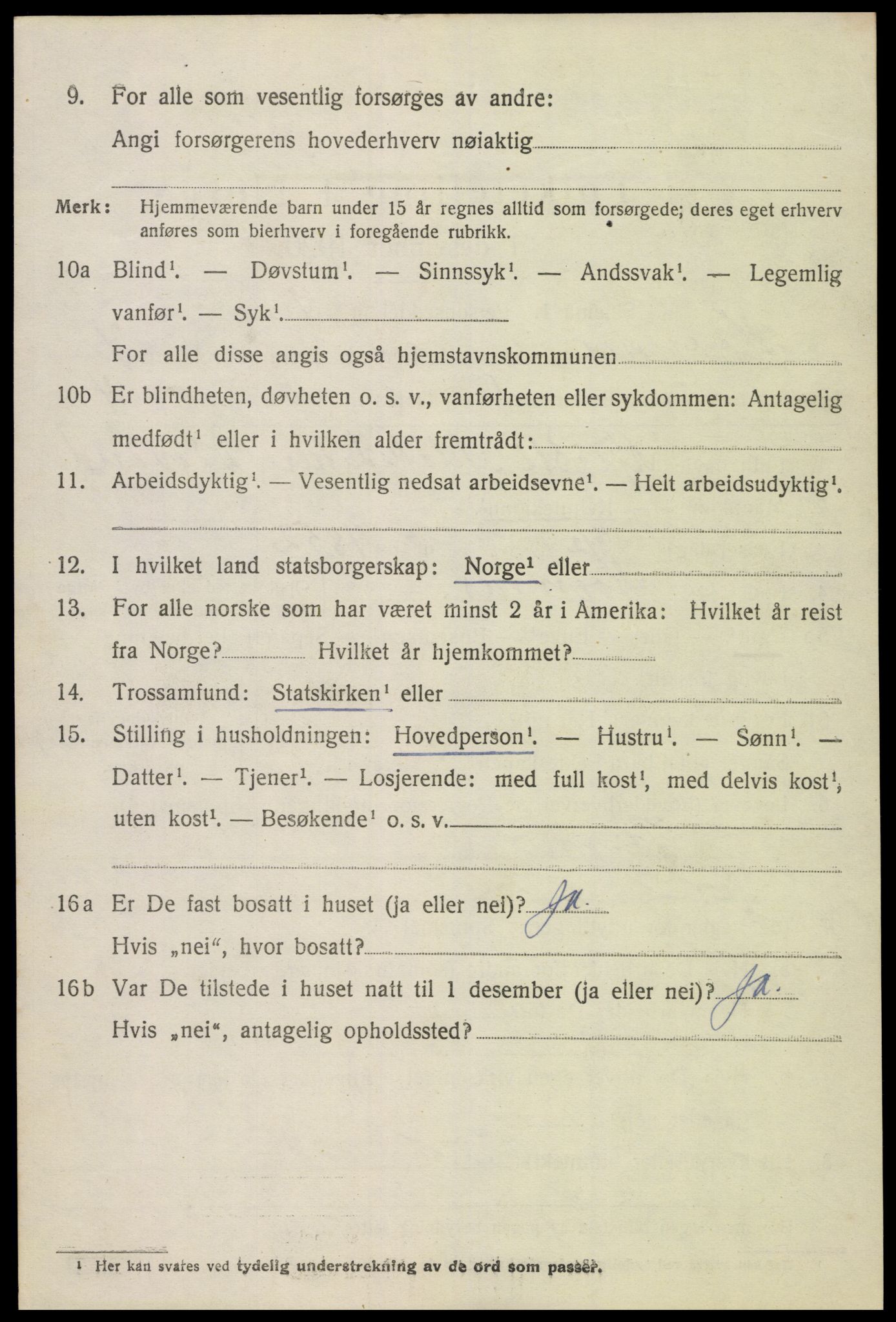 SAK, 1920 census for Hornnes, 1920, p. 1666