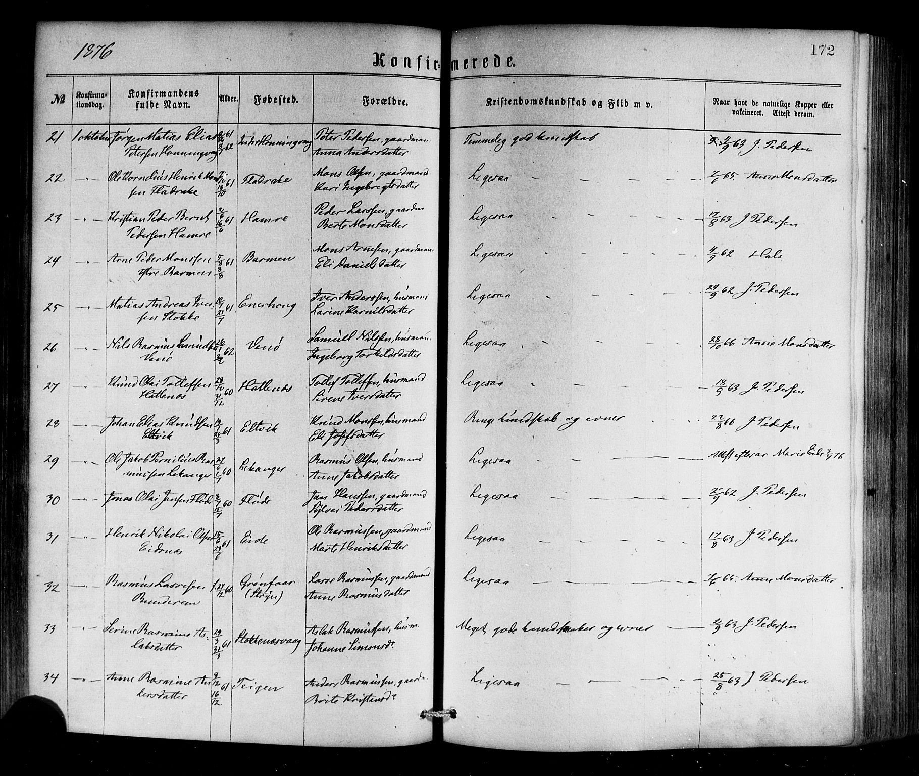 Selje sokneprestembete, AV/SAB-A-99938/H/Ha/Haa/Haaa: Parish register (official) no. A 12, 1870-1880, p. 172