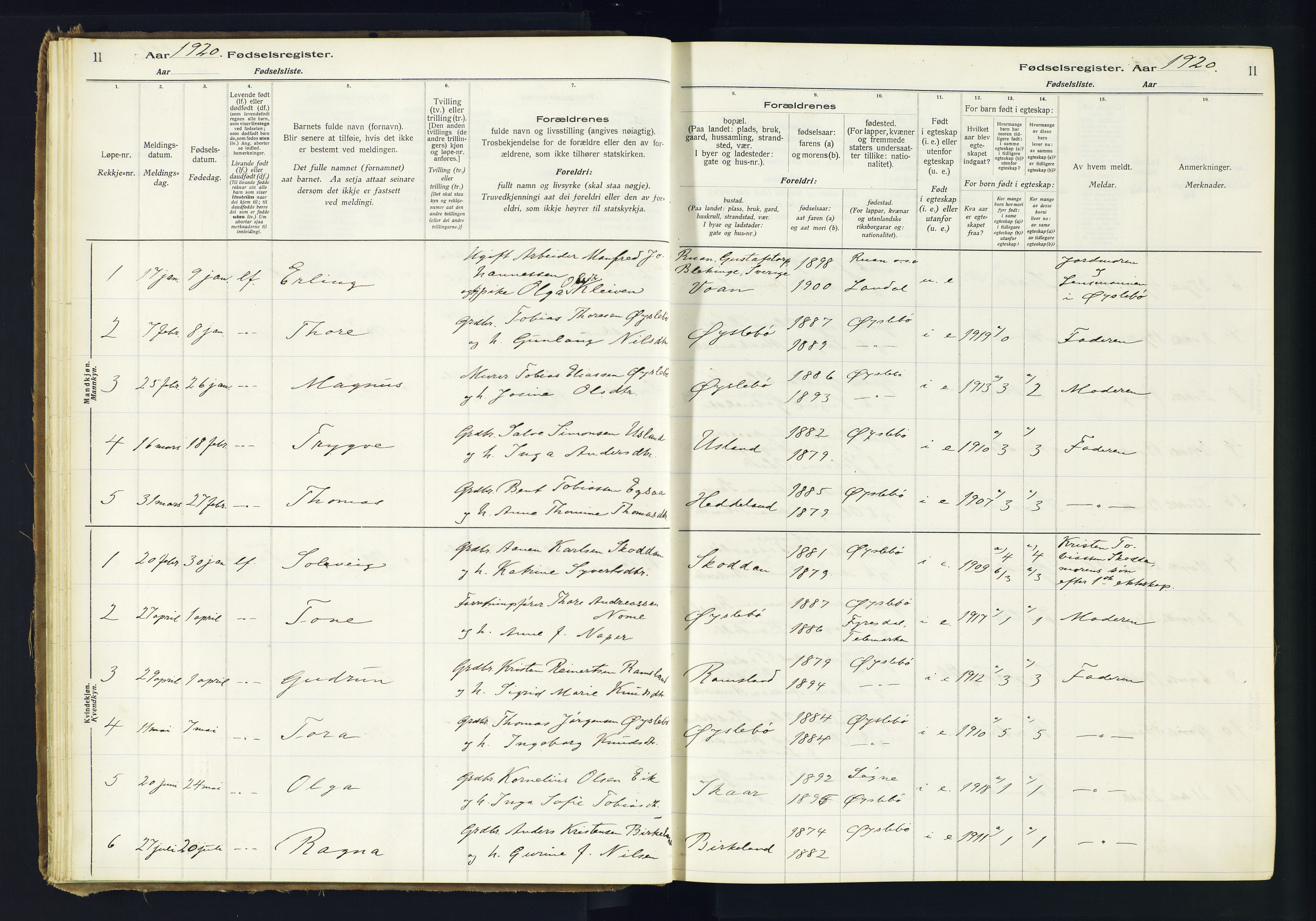 Holum sokneprestkontor, AV/SAK-1111-0022/J/Ja/L0002: Birth register no. II.6.11, 1916-1982, p. 11