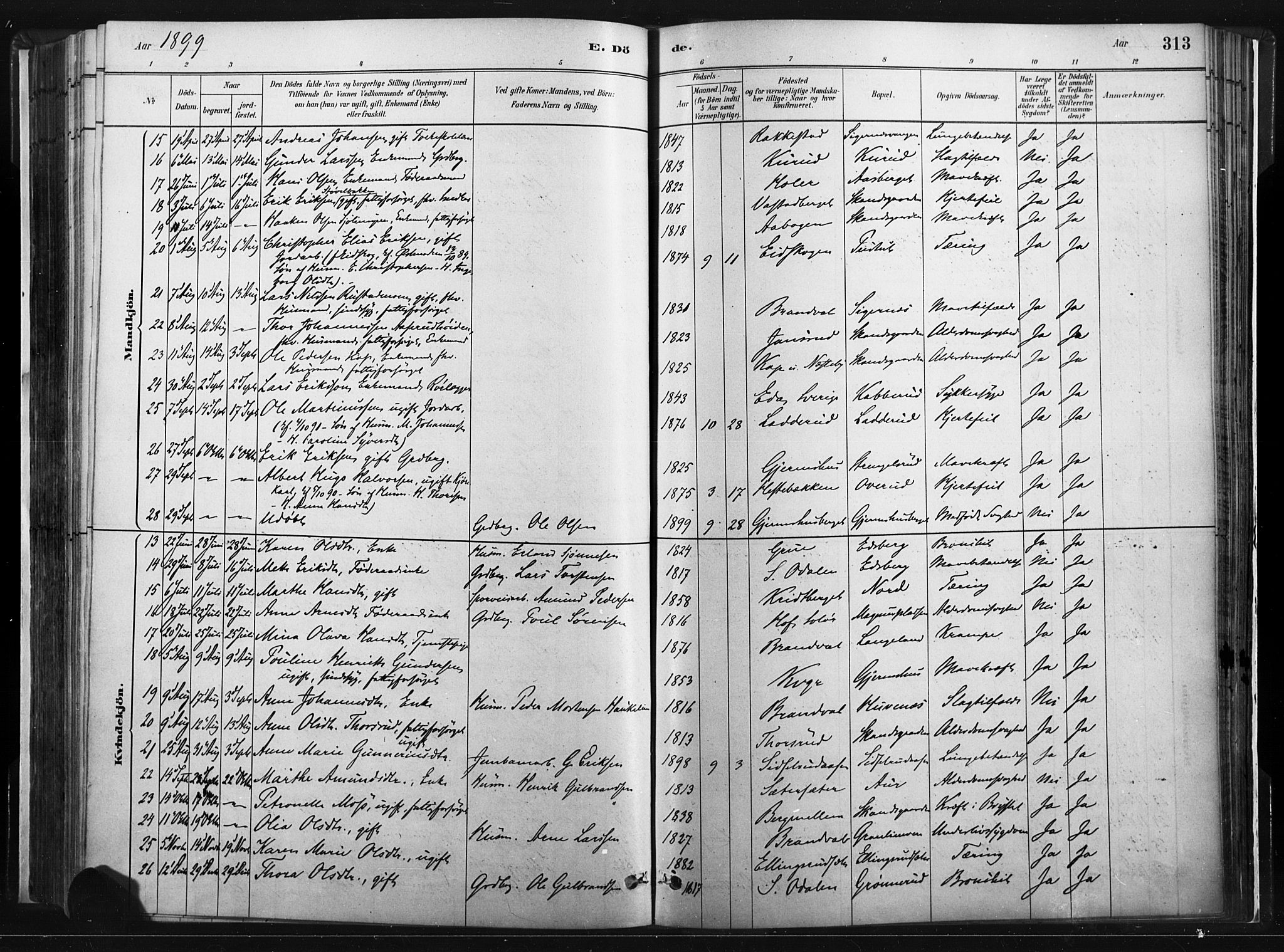 Vinger prestekontor, AV/SAH-PREST-024/H/Ha/Haa/L0014: Parish register (official) no. 14, 1881-1900, p. 313