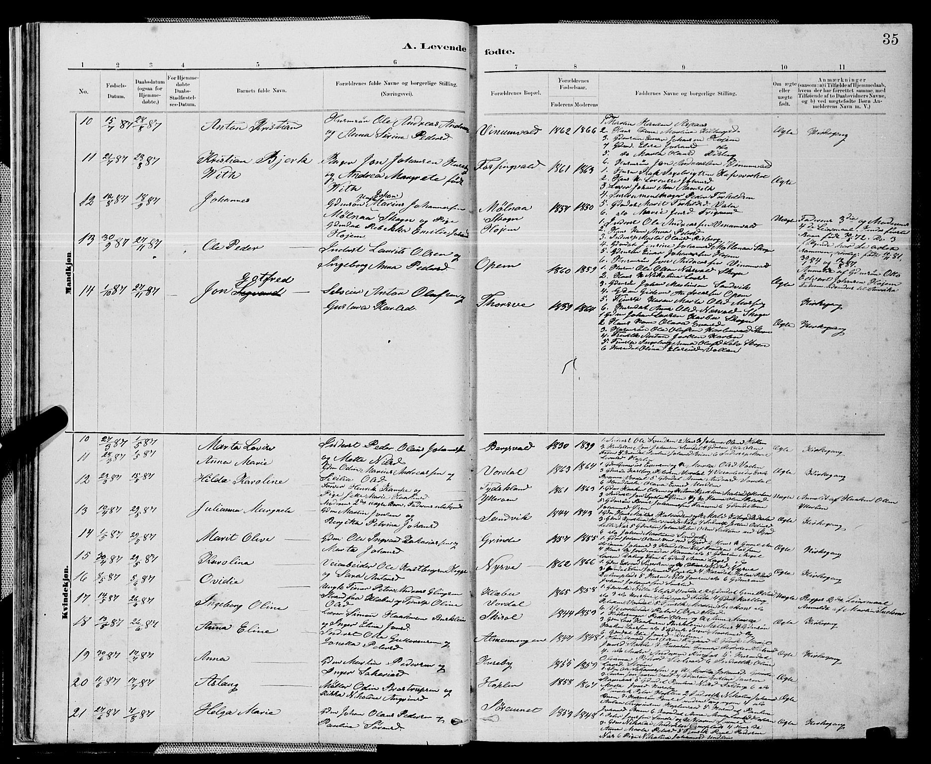 Ministerialprotokoller, klokkerbøker og fødselsregistre - Nord-Trøndelag, AV/SAT-A-1458/714/L0134: Parish register (copy) no. 714C03, 1878-1898, p. 35