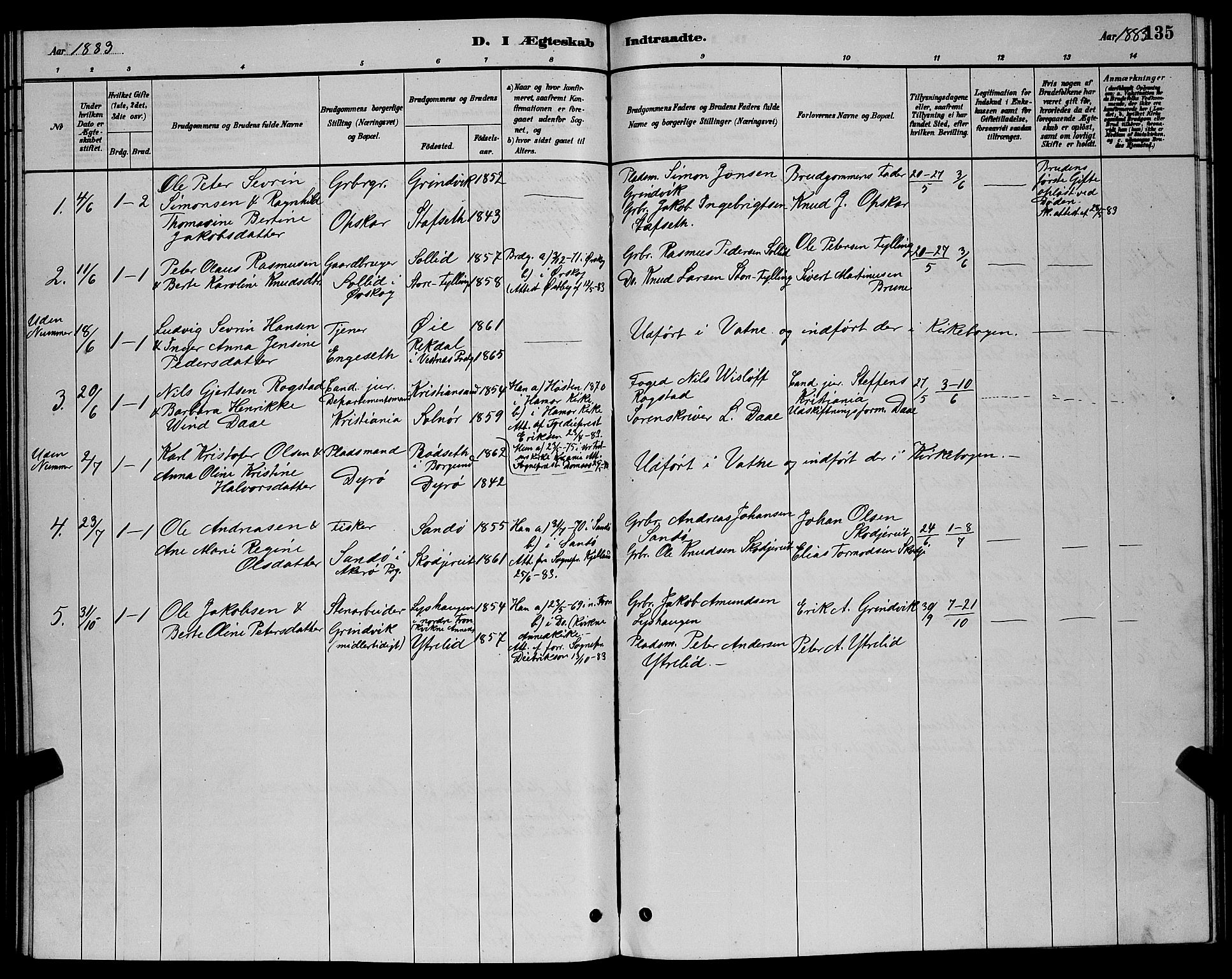 Ministerialprotokoller, klokkerbøker og fødselsregistre - Møre og Romsdal, AV/SAT-A-1454/524/L0365: Parish register (copy) no. 524C06, 1880-1899, p. 135