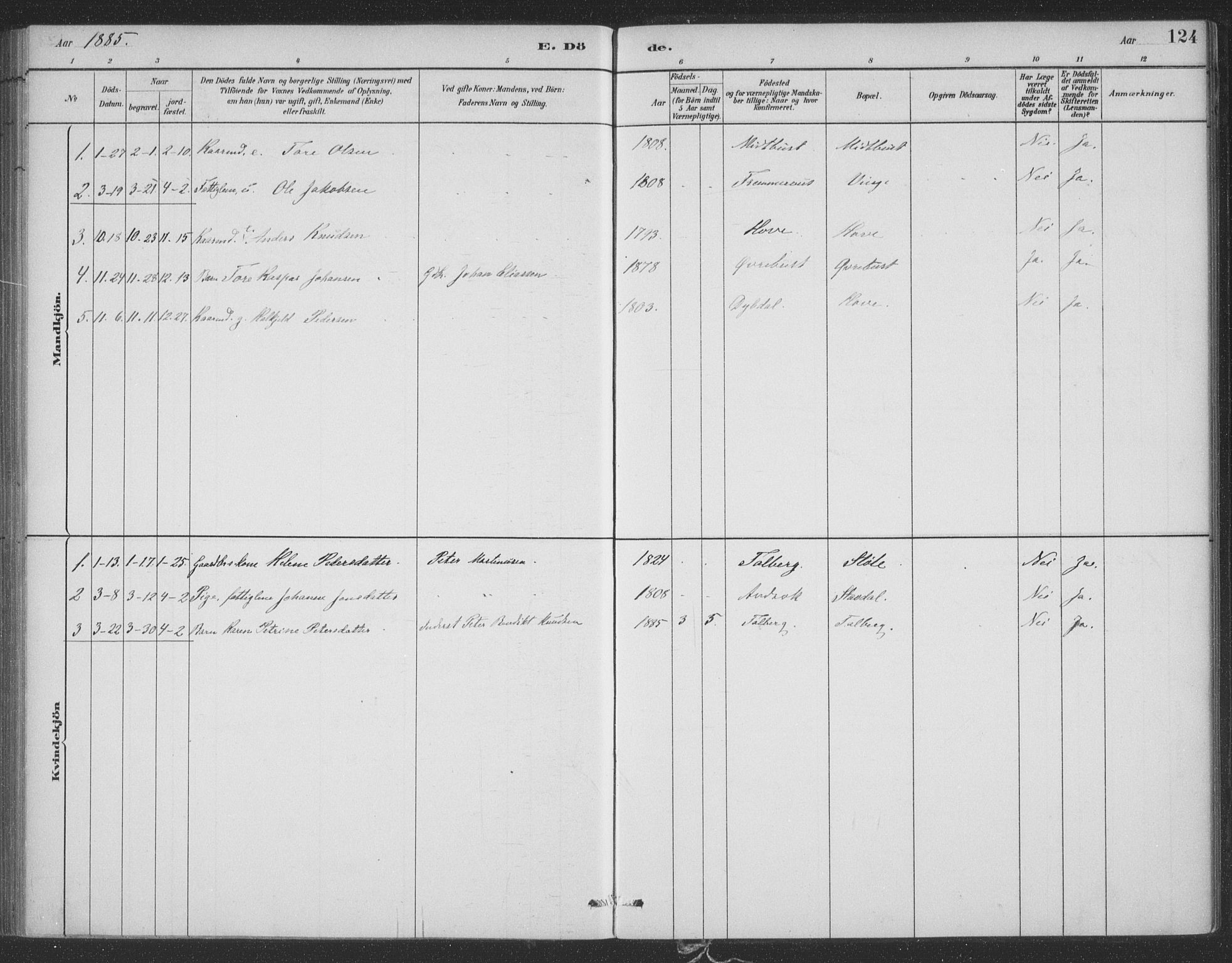 Ministerialprotokoller, klokkerbøker og fødselsregistre - Møre og Romsdal, AV/SAT-A-1454/521/L0299: Parish register (official) no. 521A01, 1882-1907, p. 124