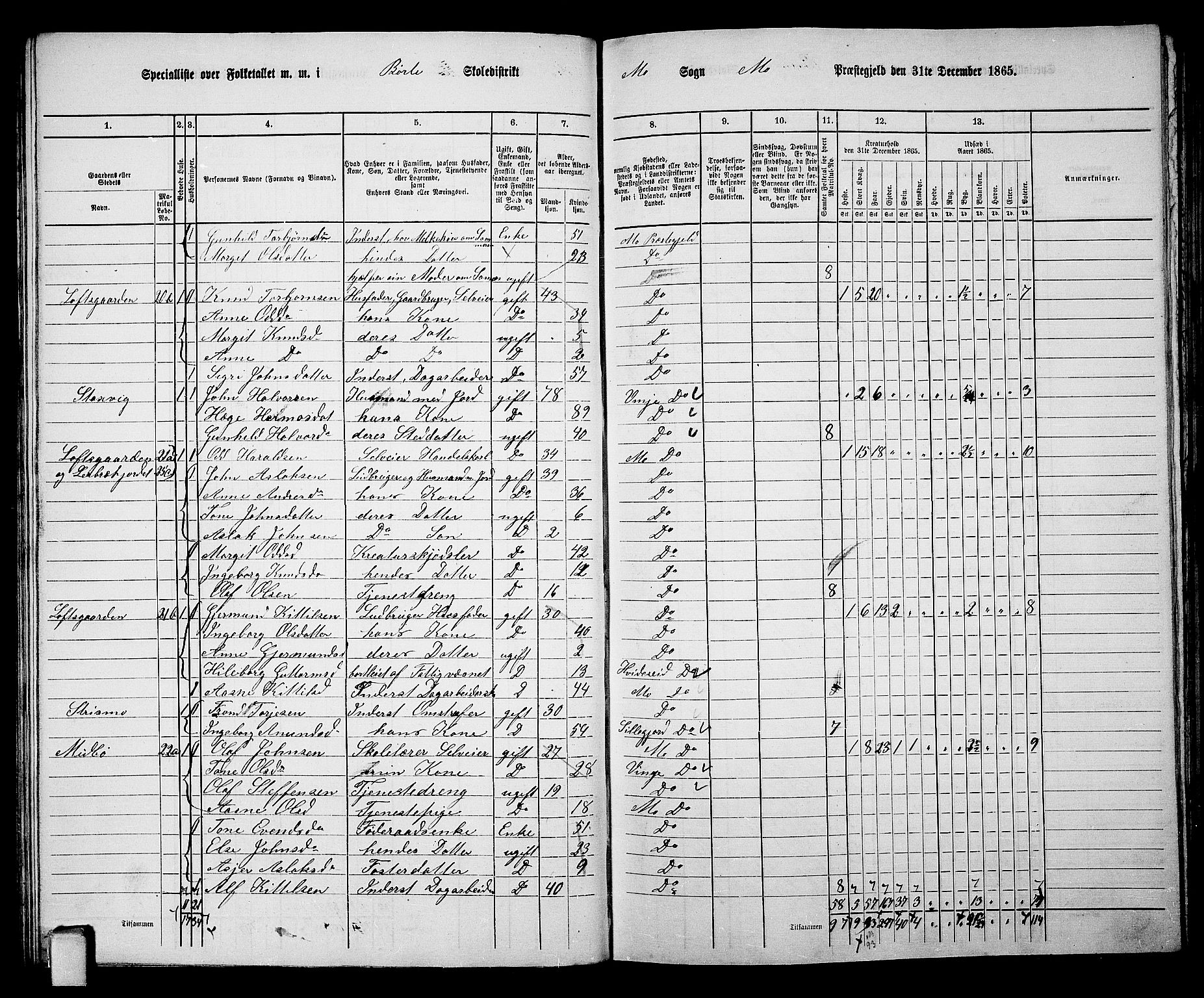 RA, 1865 census for Mo, 1865, p. 42
