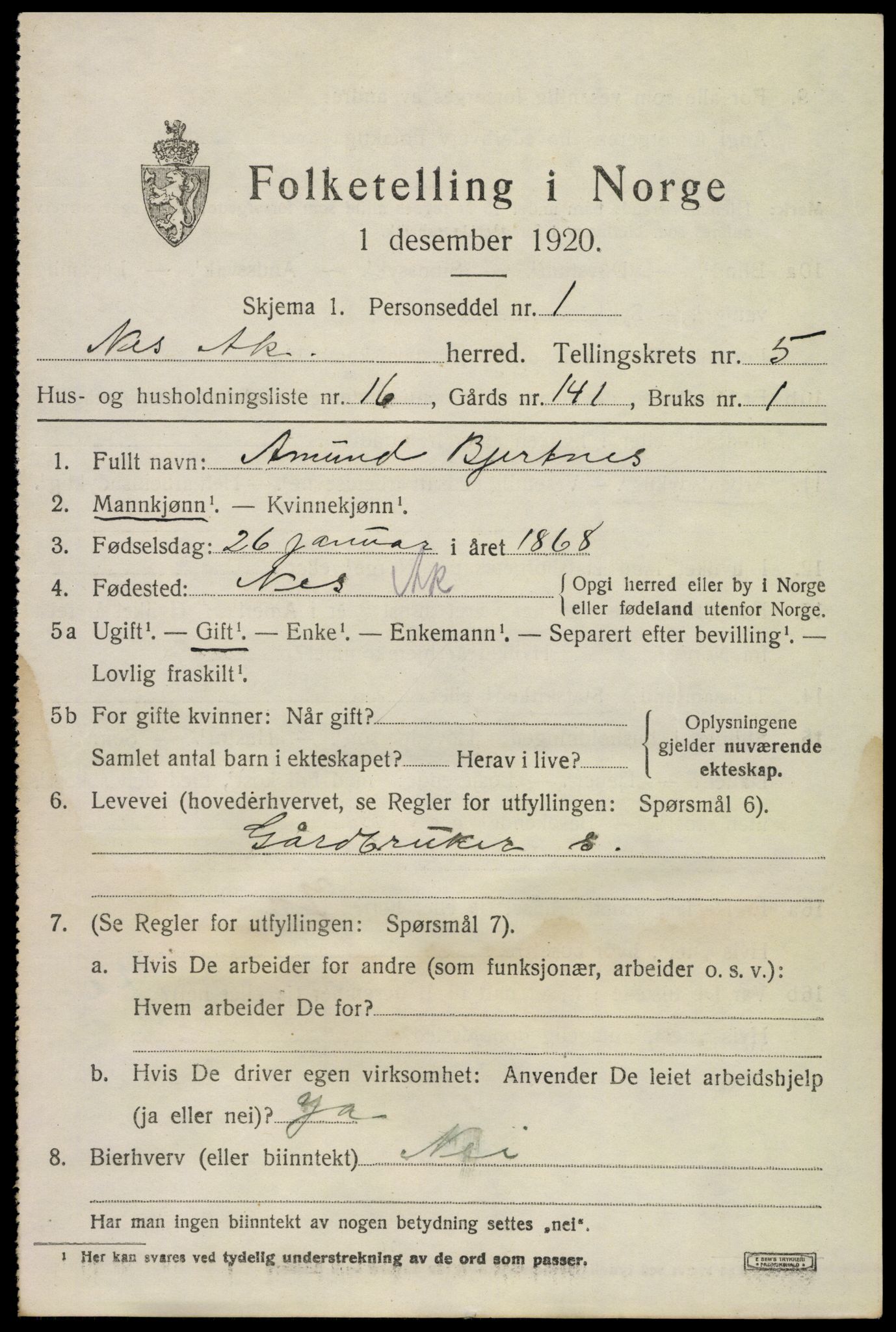 SAO, 1920 census for Nes, 1920, p. 6610