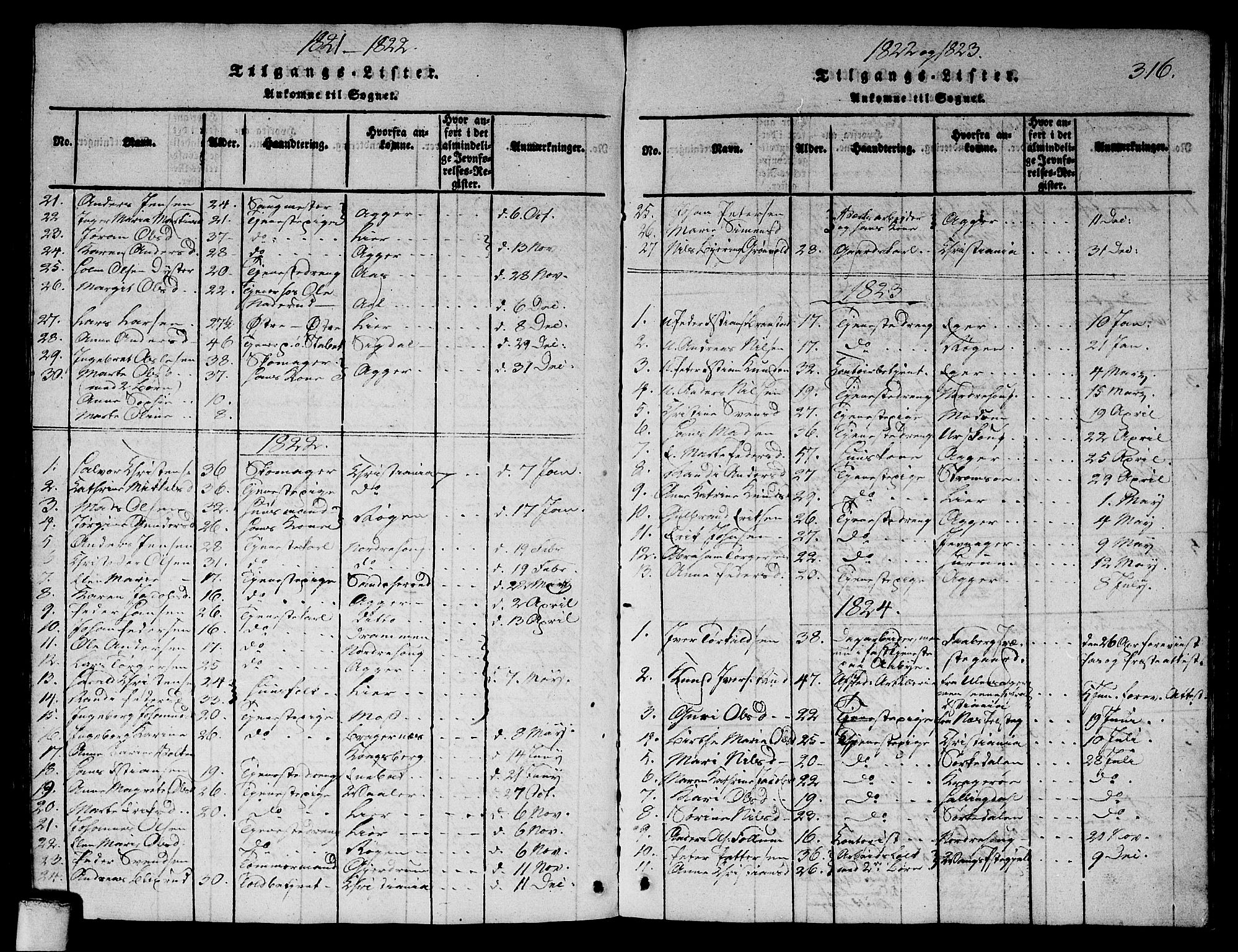 Asker prestekontor Kirkebøker, SAO/A-10256a/G/Ga/L0001: Parish register (copy) no. I 1, 1814-1830, p. 316